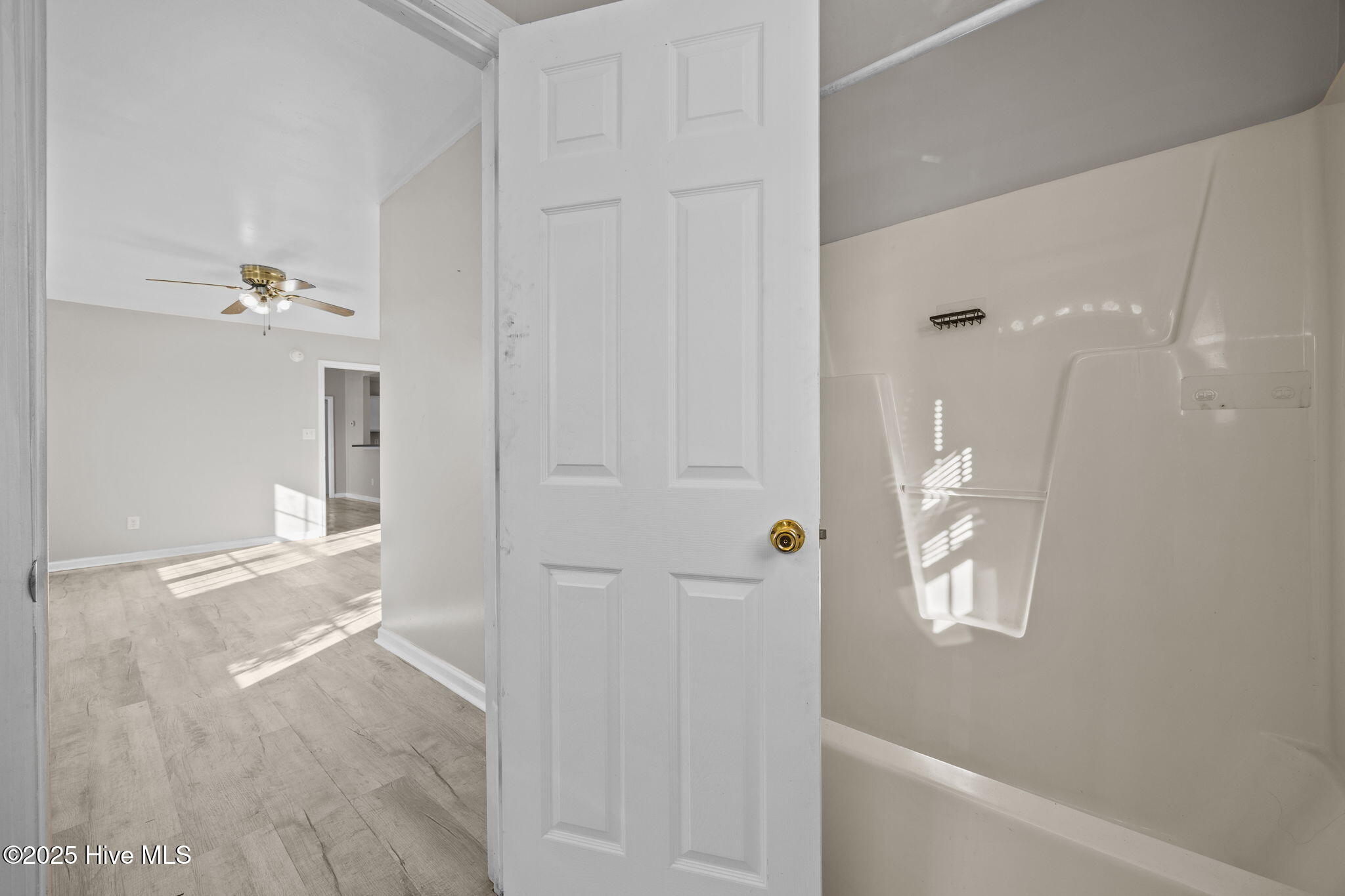 100546397 | Photo 15