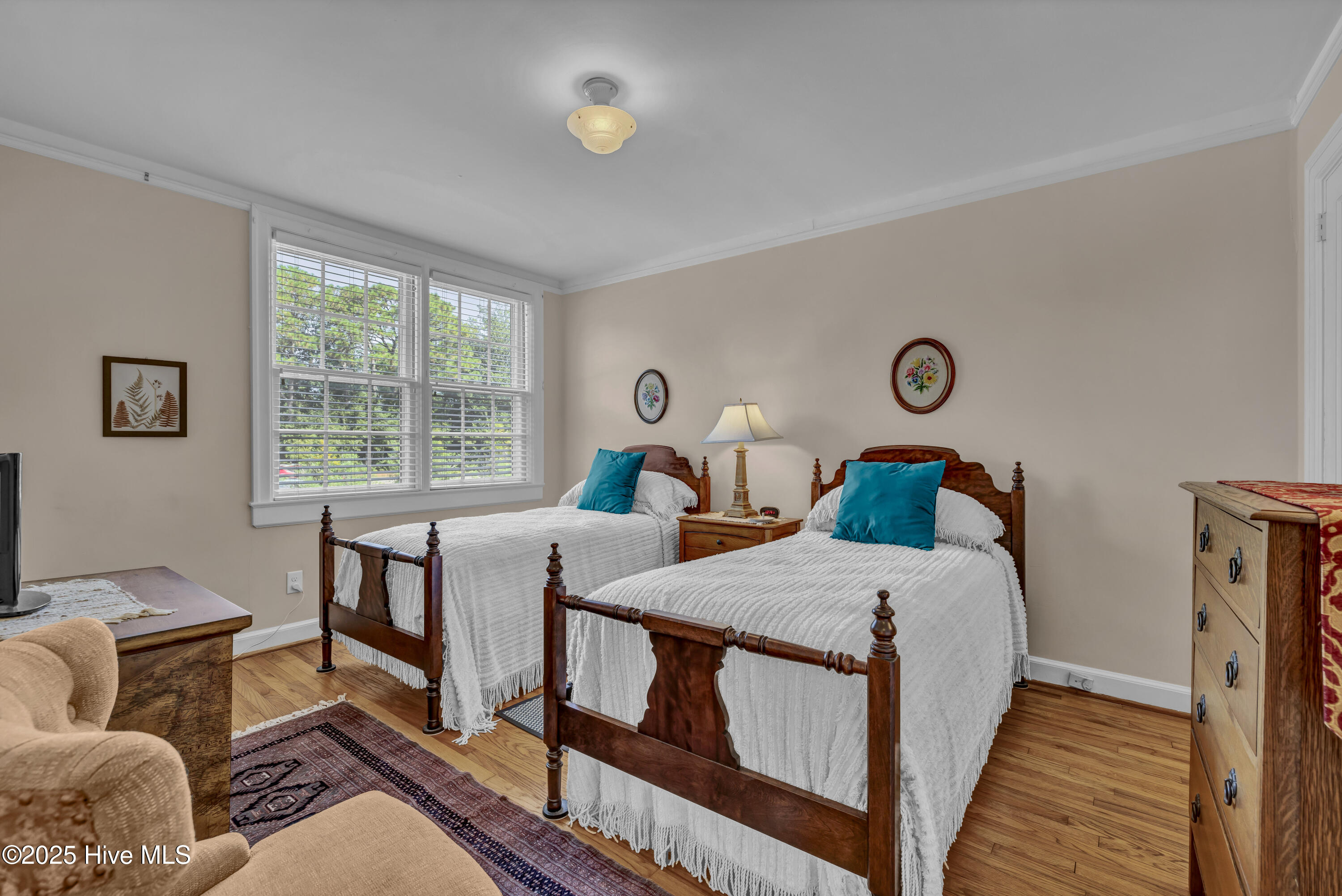 100534862 | Photo 19