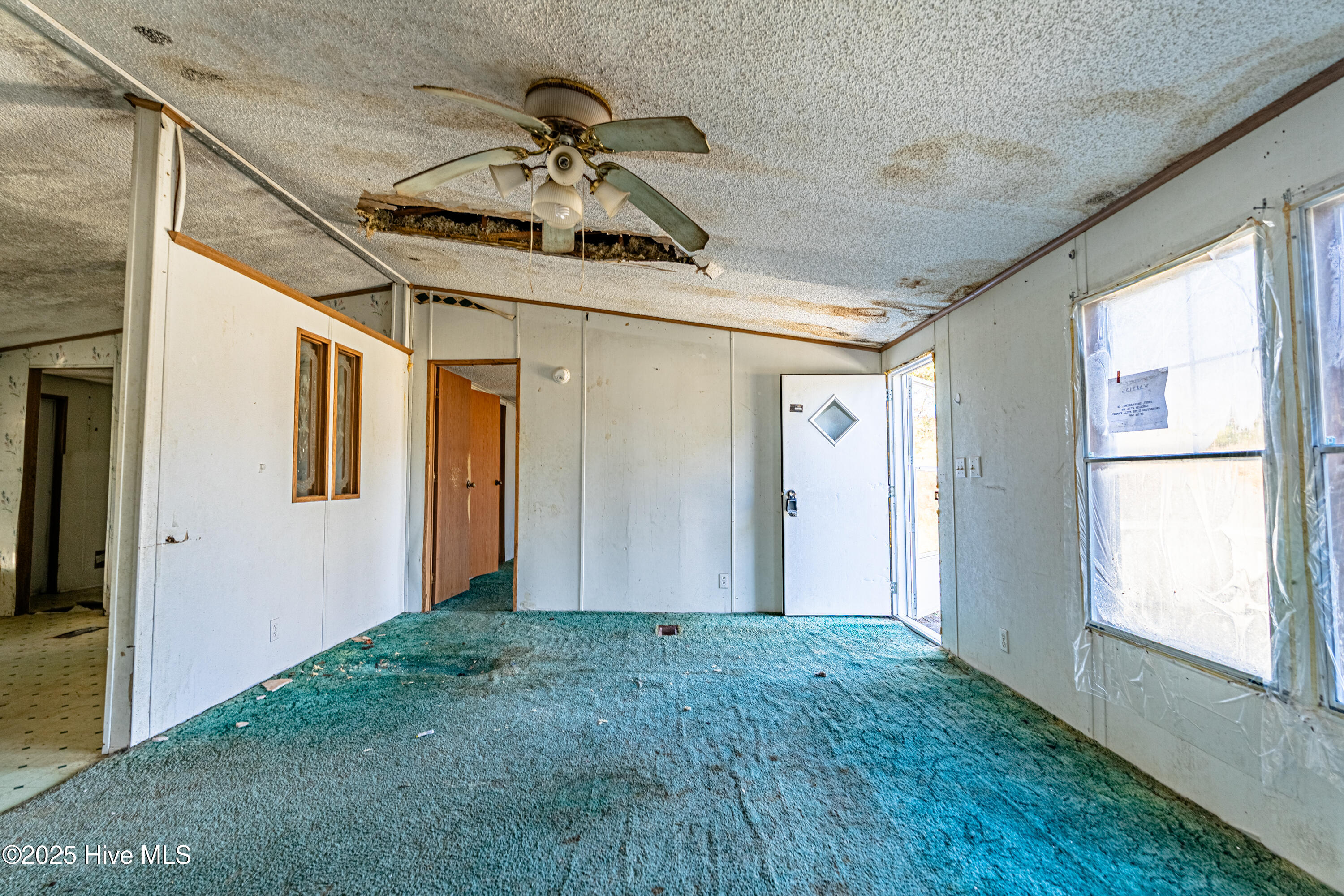 100545698 | Photo 13