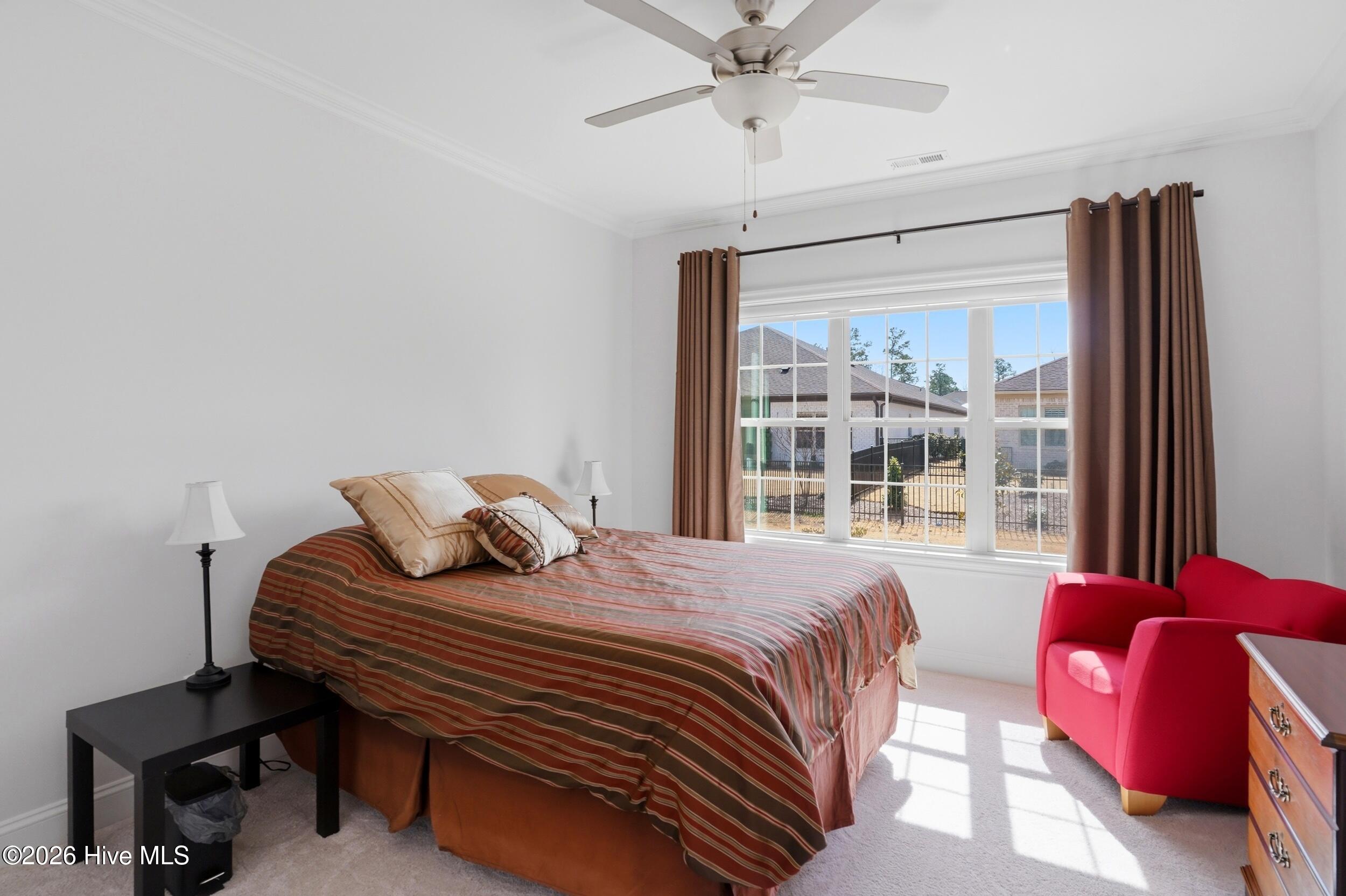 100560979 | Photo 30