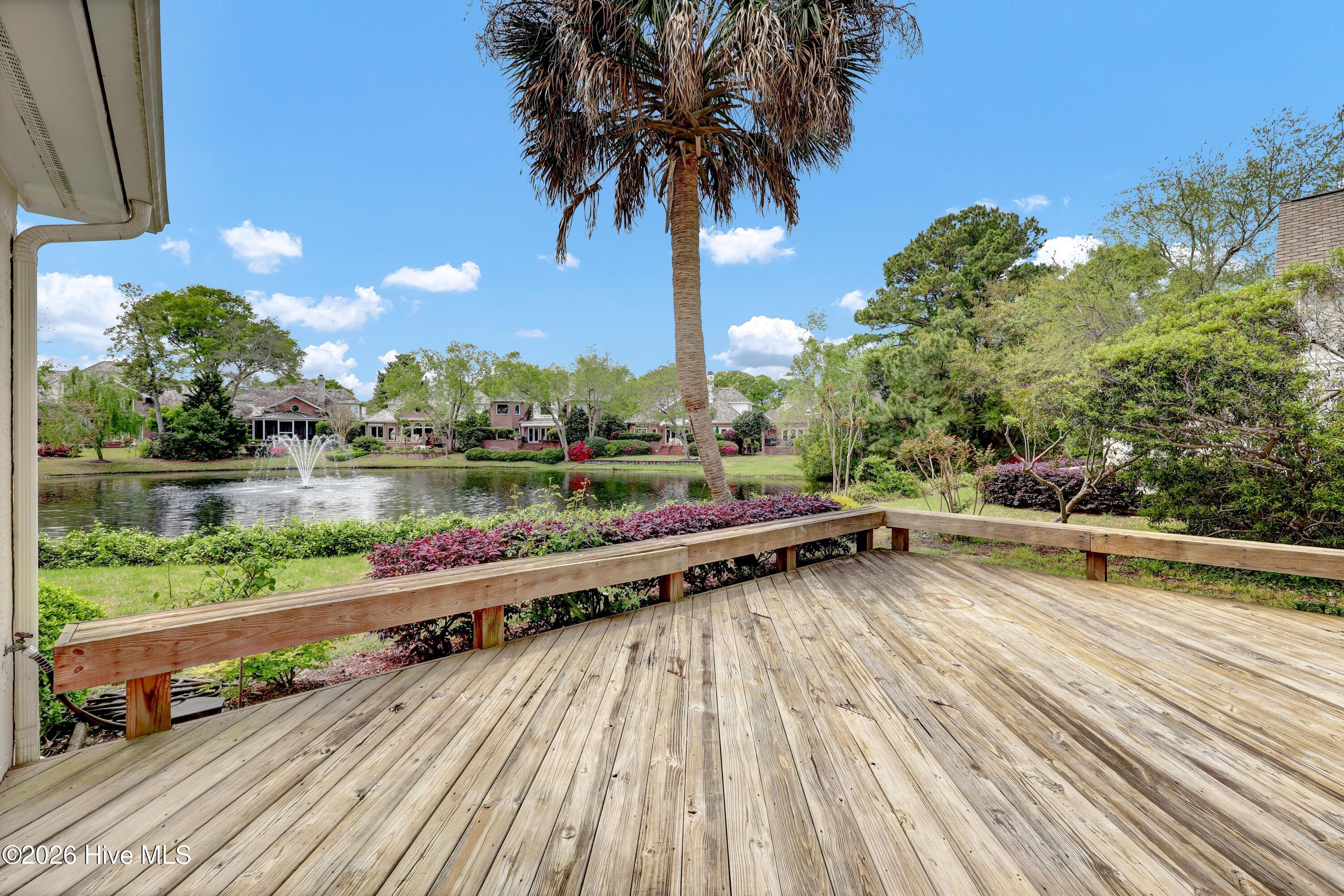 100566096 | Photo 39