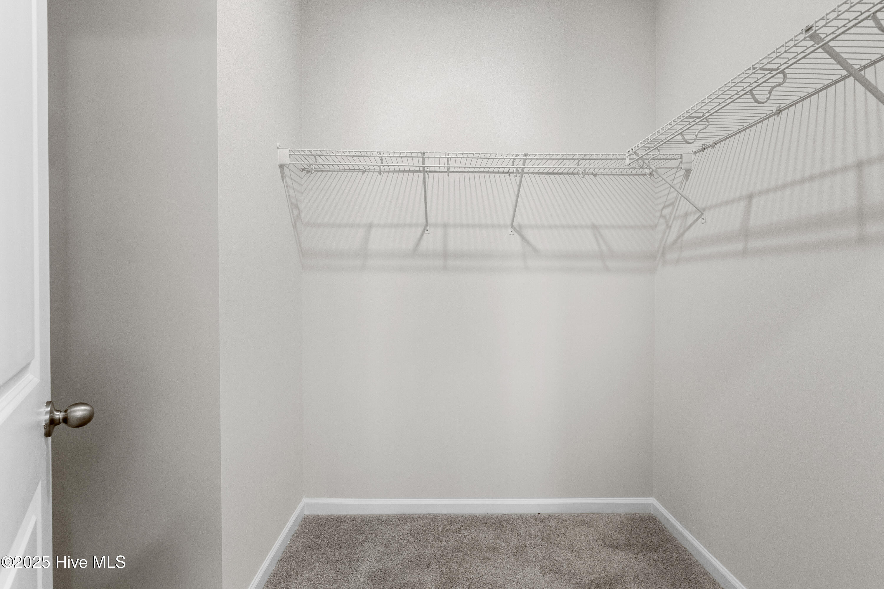 100536968 | Photo 24