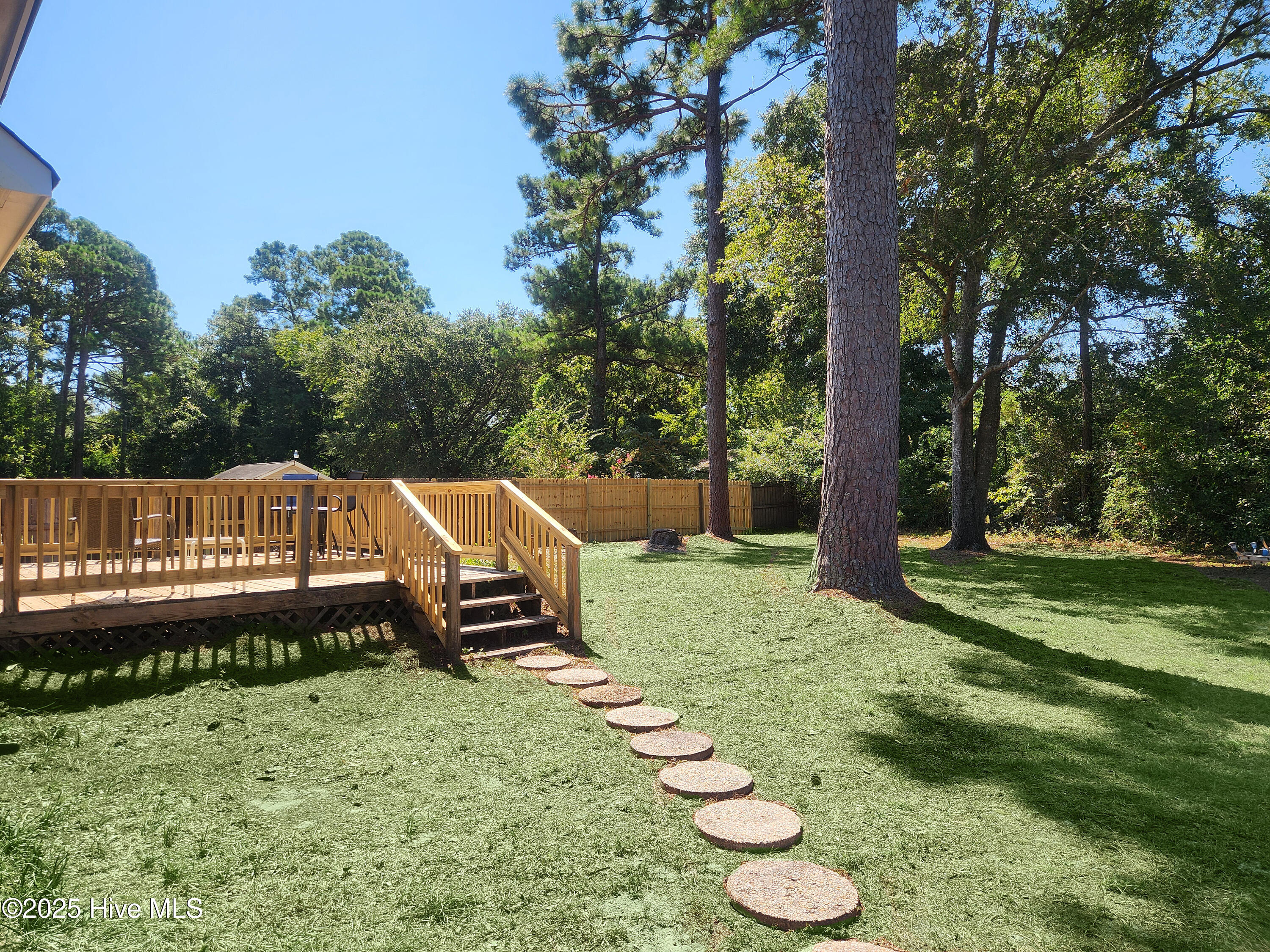 100529412 | Photo 41