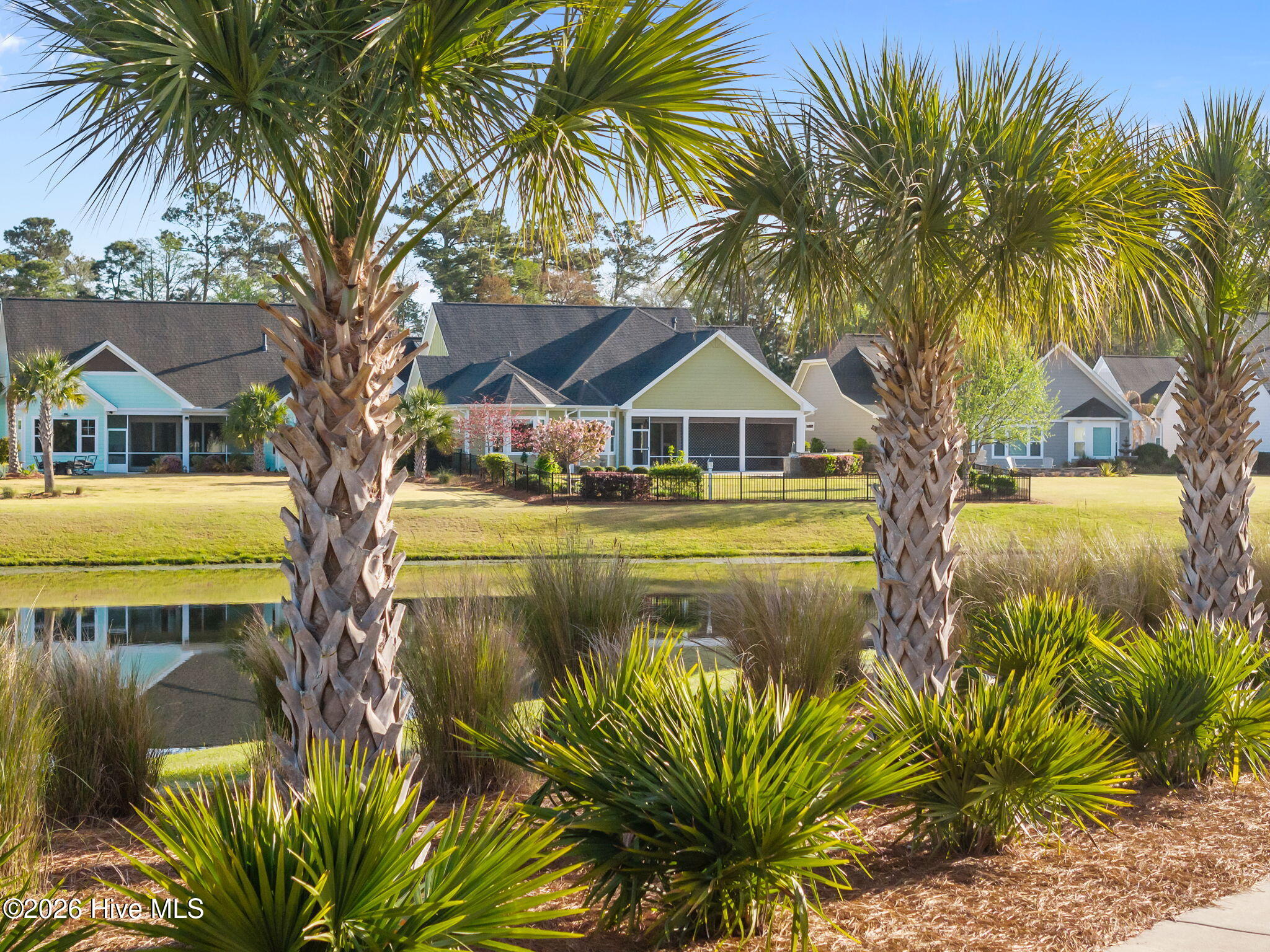 100566700 | Photo 46