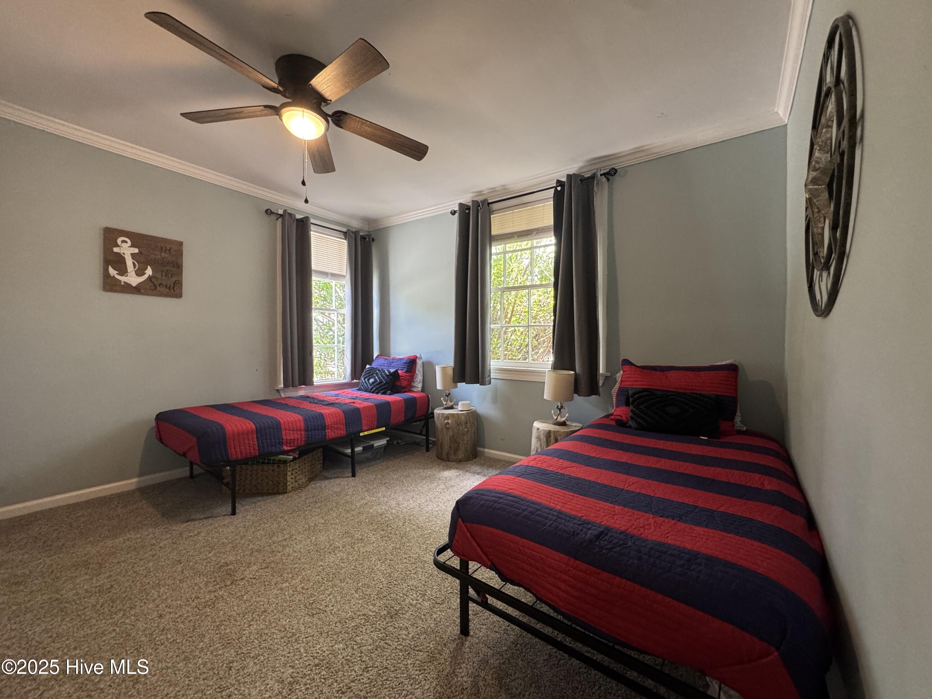 100515346 | Photo 17