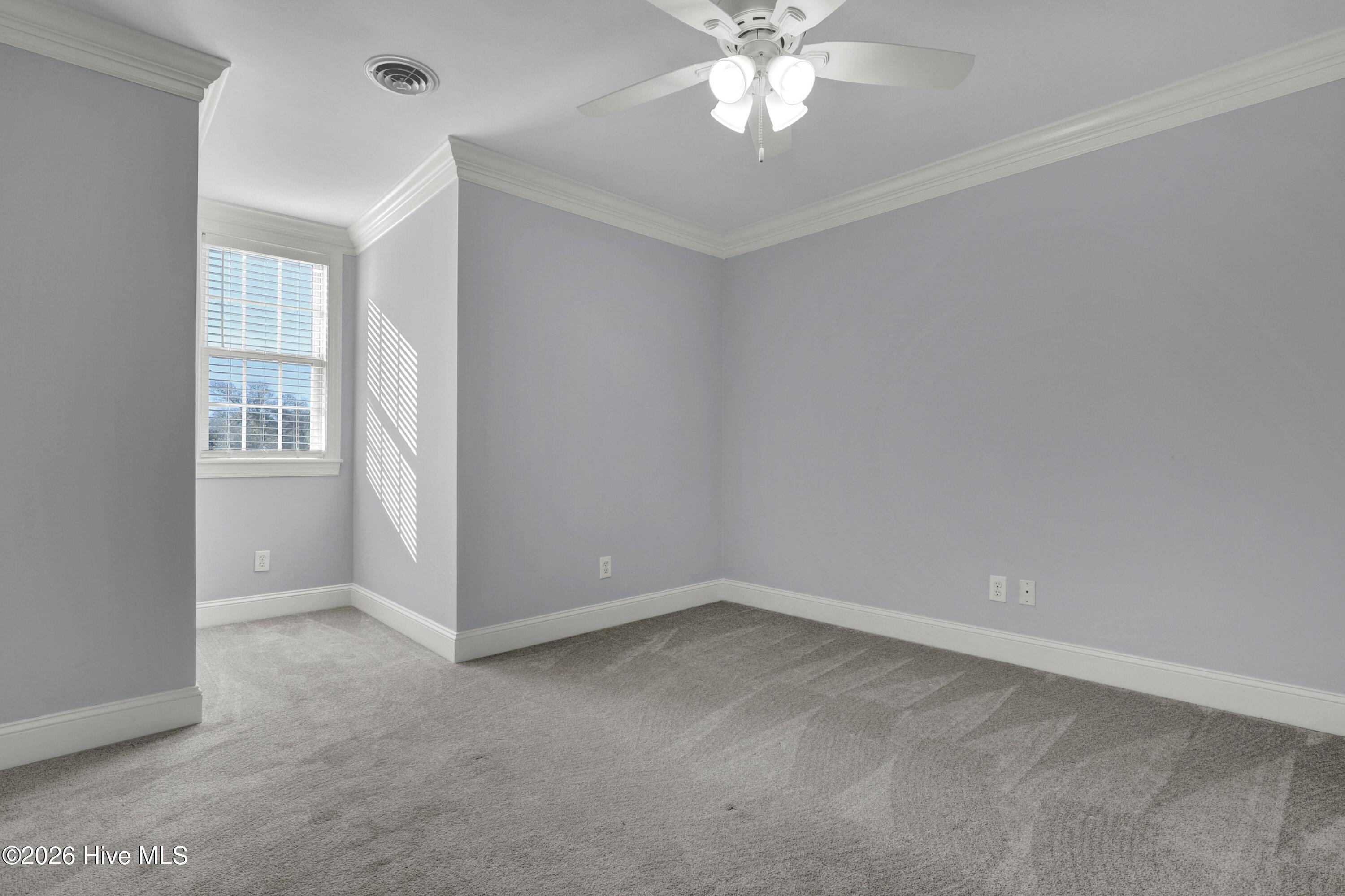 100489094 | Photo 32