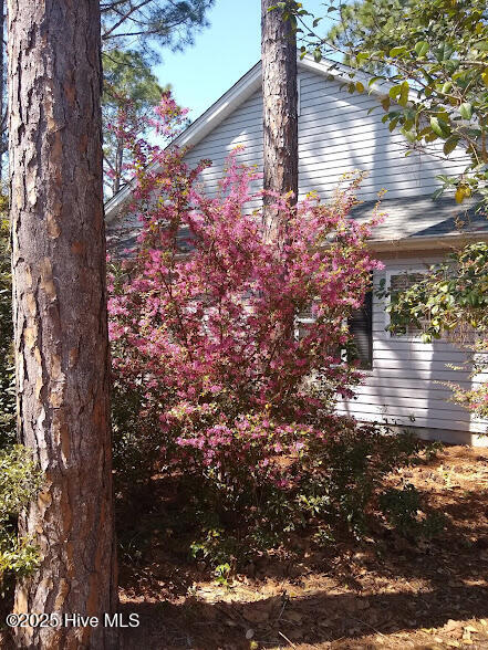 100534819 | Photo 24