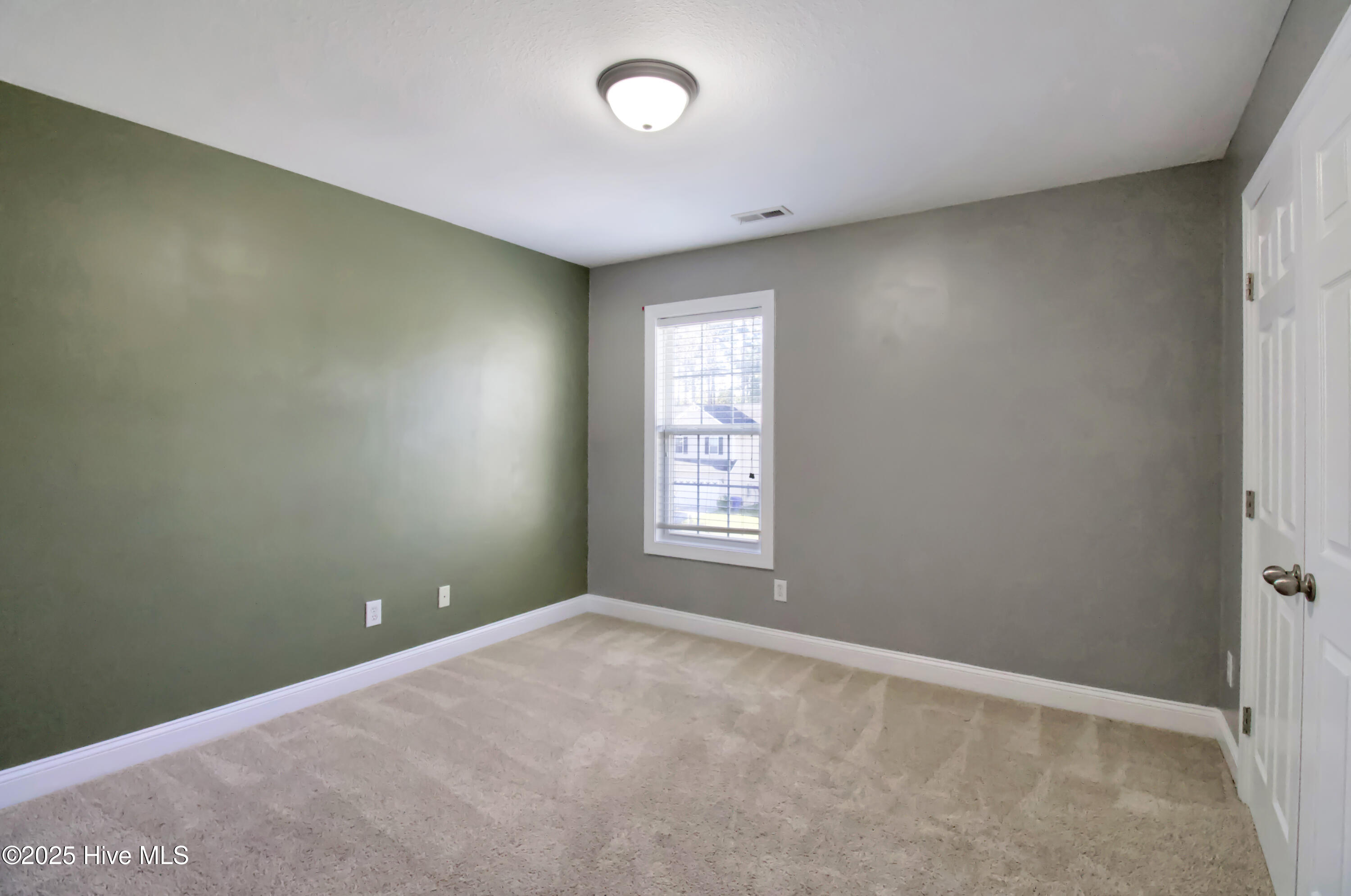 100538875 | Photo 15