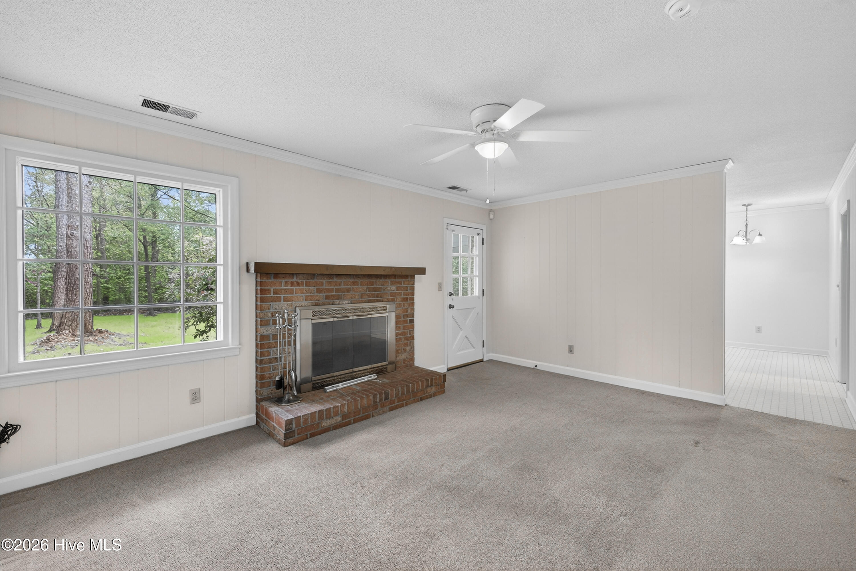 100562891 | Photo 11