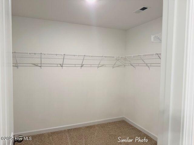 100511917 | Photo 27