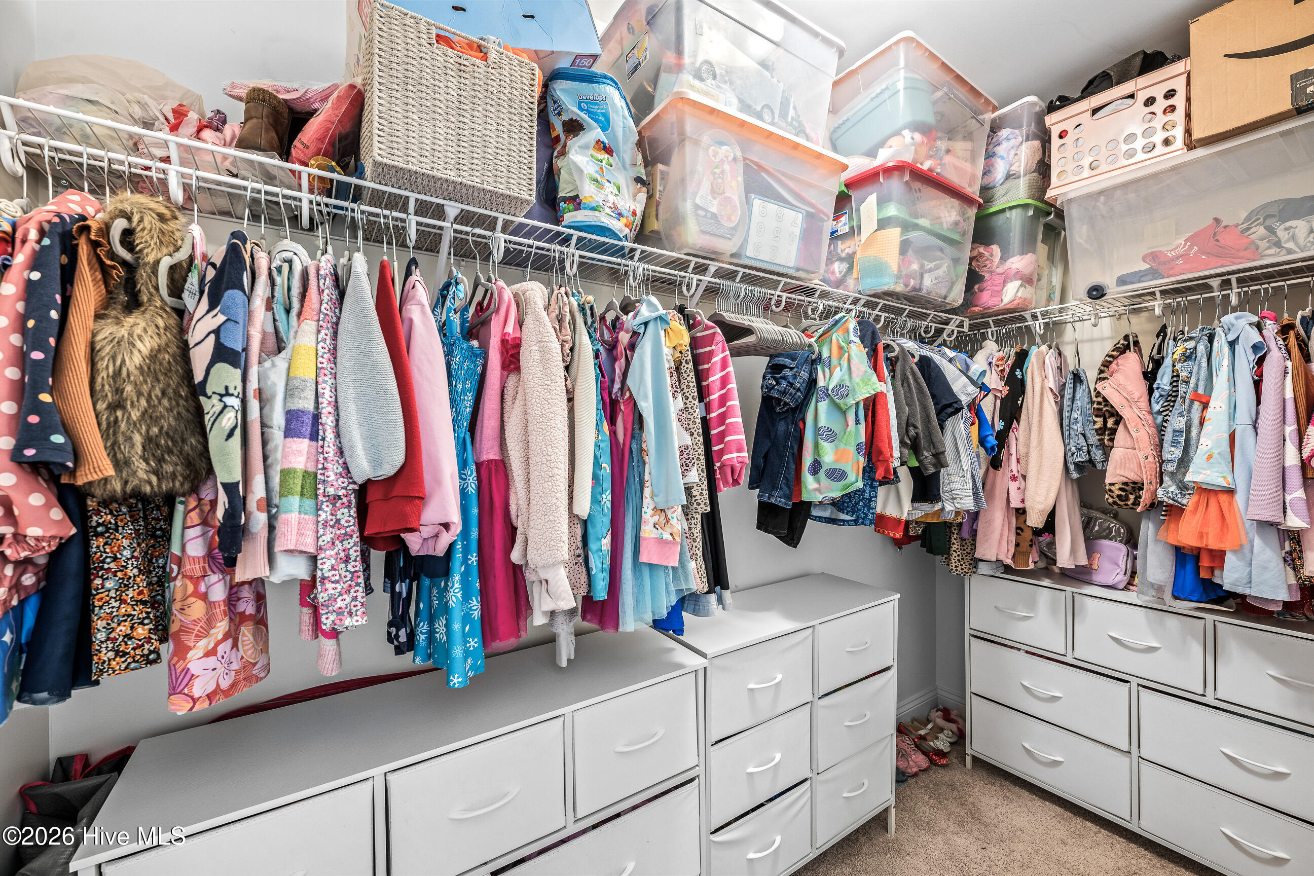 100567296 | Photo 34