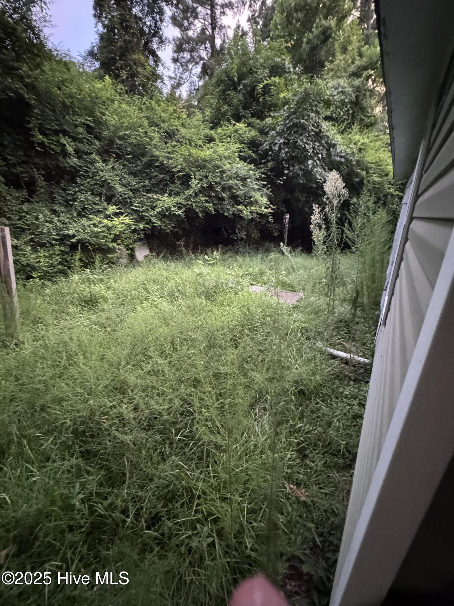 100534735 | Photo 13