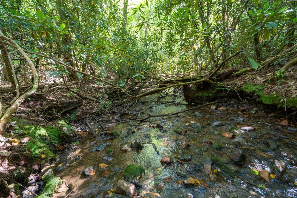 26.98 Ac Tusquittee, Hayesville, North Carolina, 0 ,For sale,Tusquittee,98525025