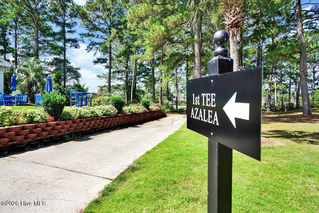 100567236 | Photo 23