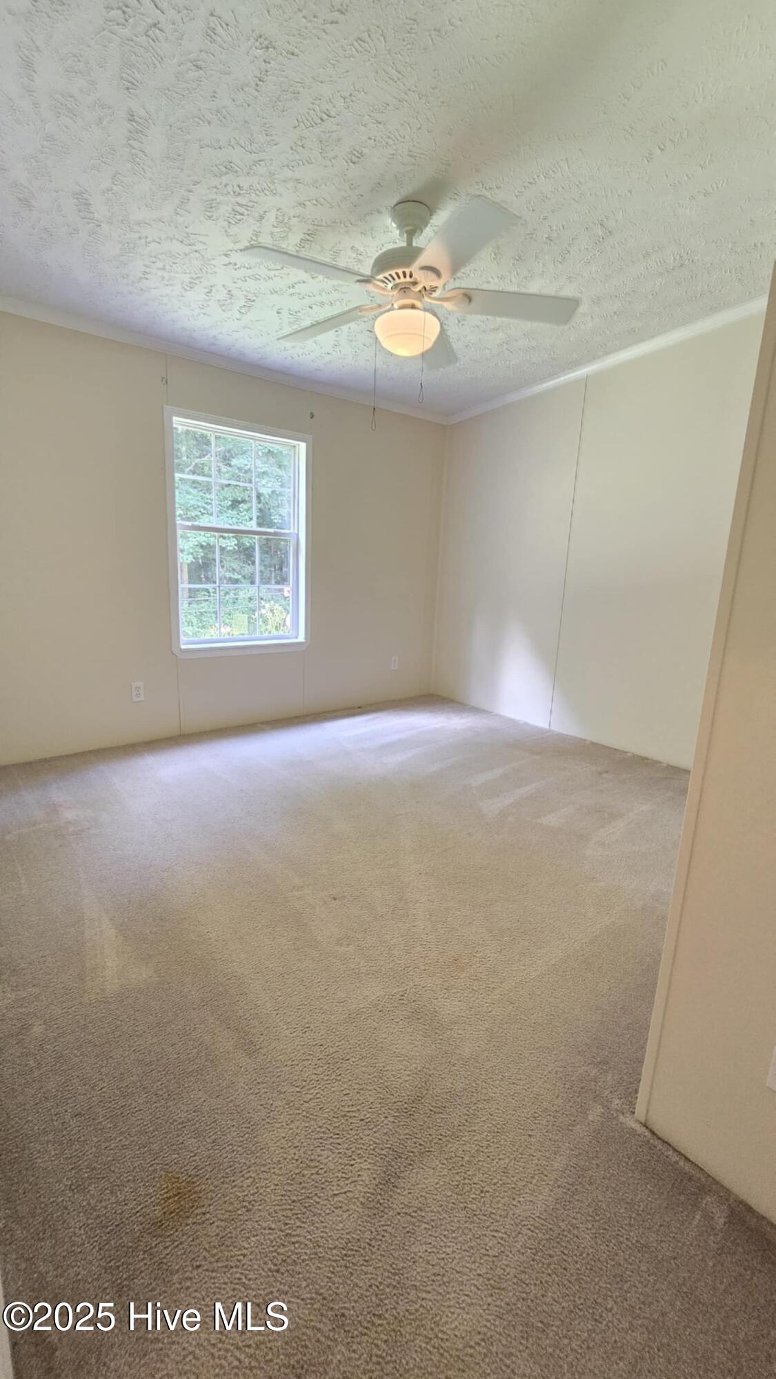 100522277 | Photo 44