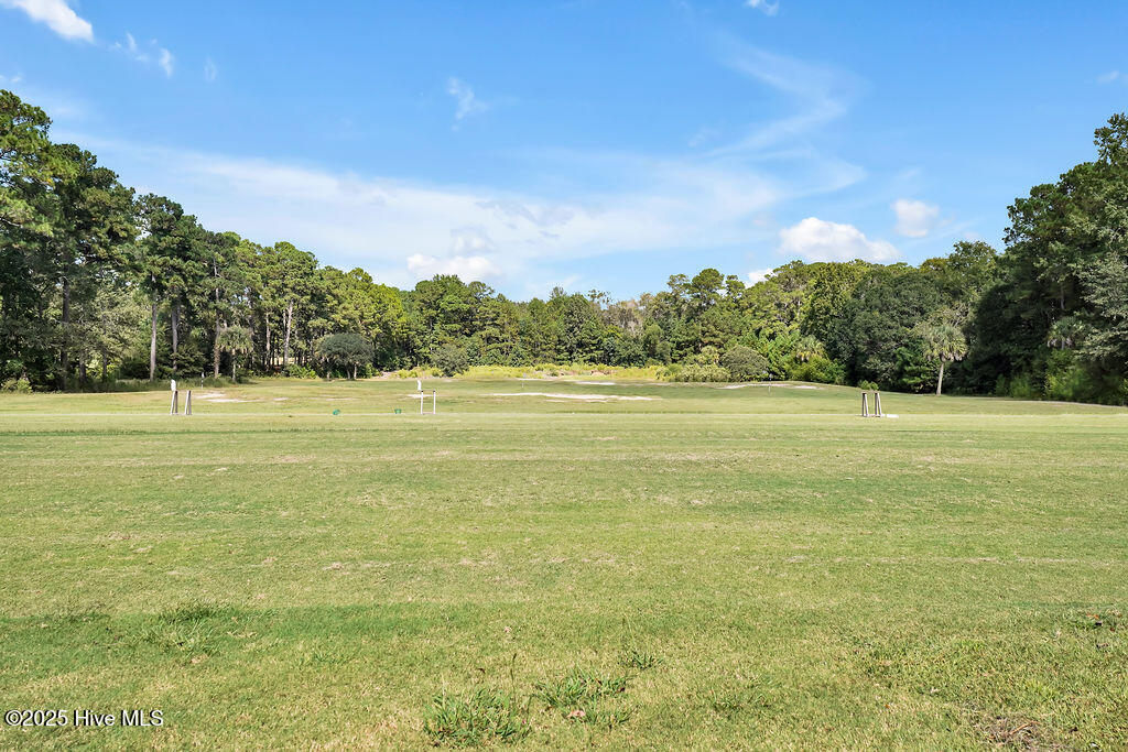 100535984 | Photo 137