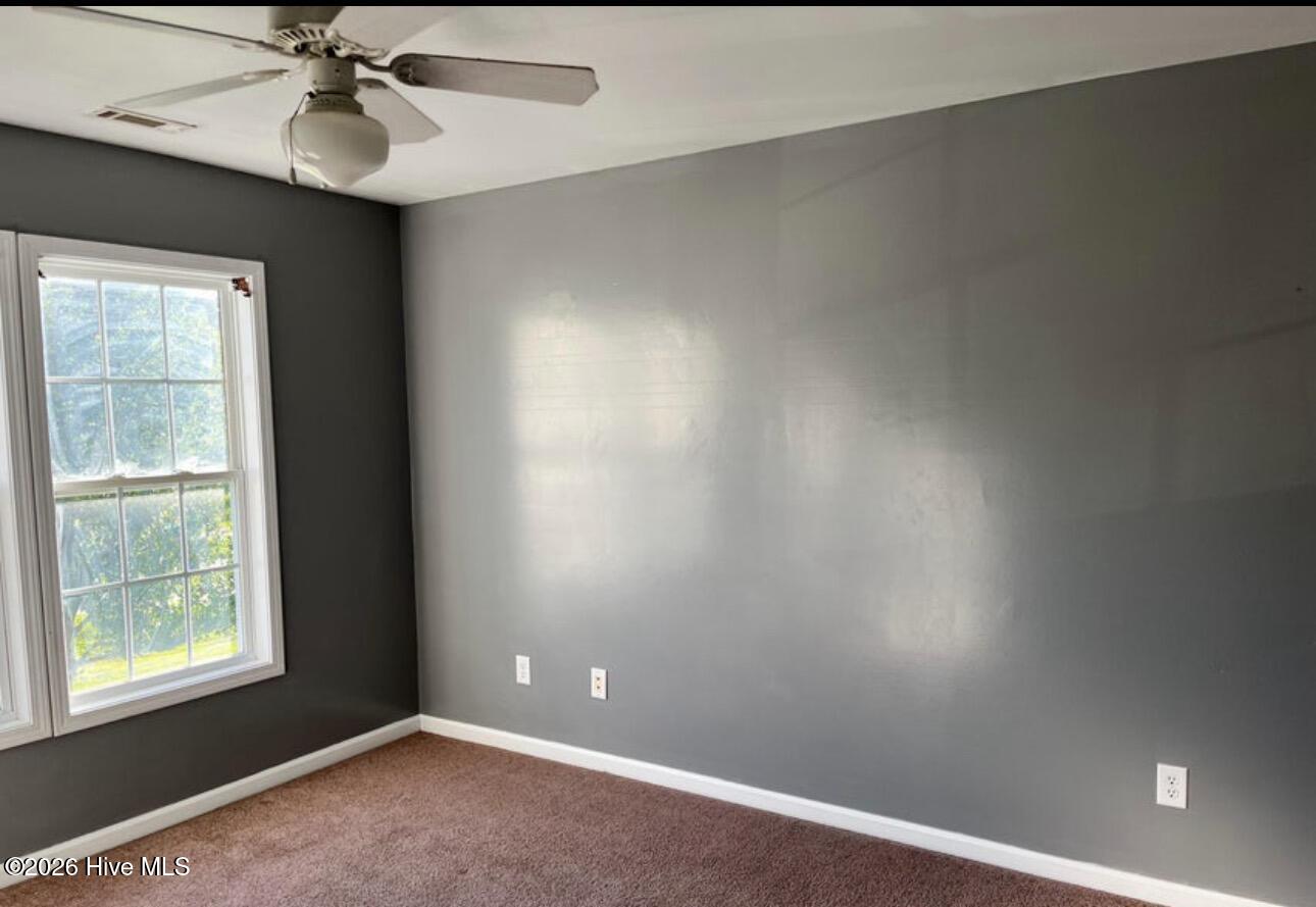 100548723 | Photo 14