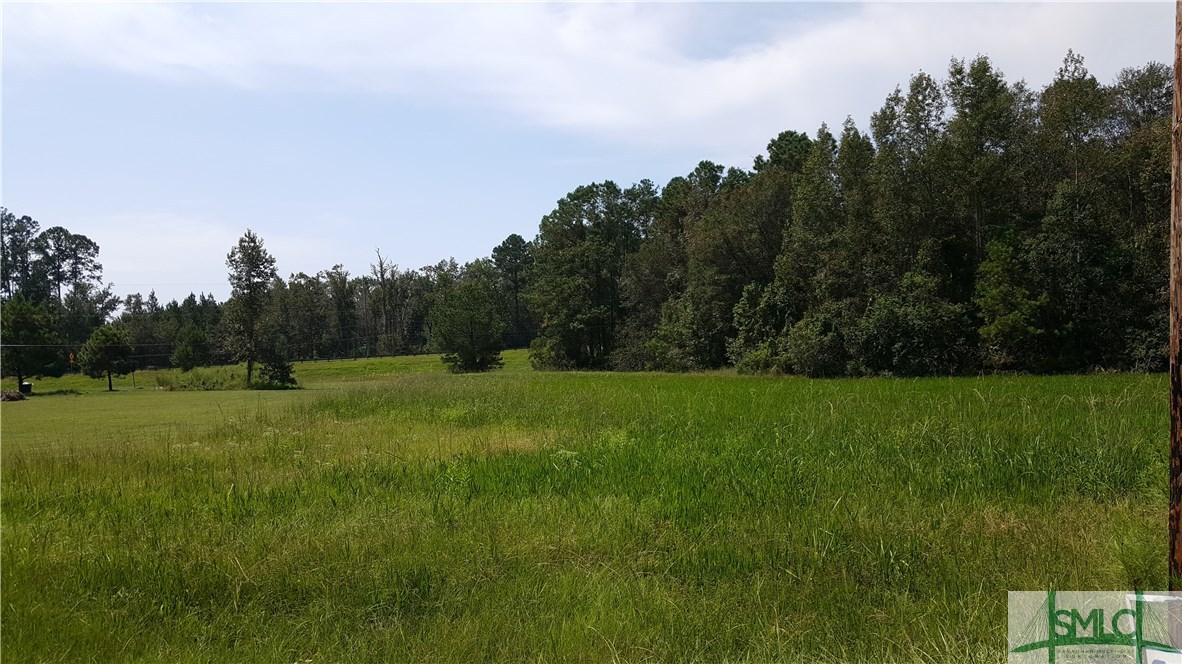 lot 1 Frazier Drive, Riceboro, GA, 31323