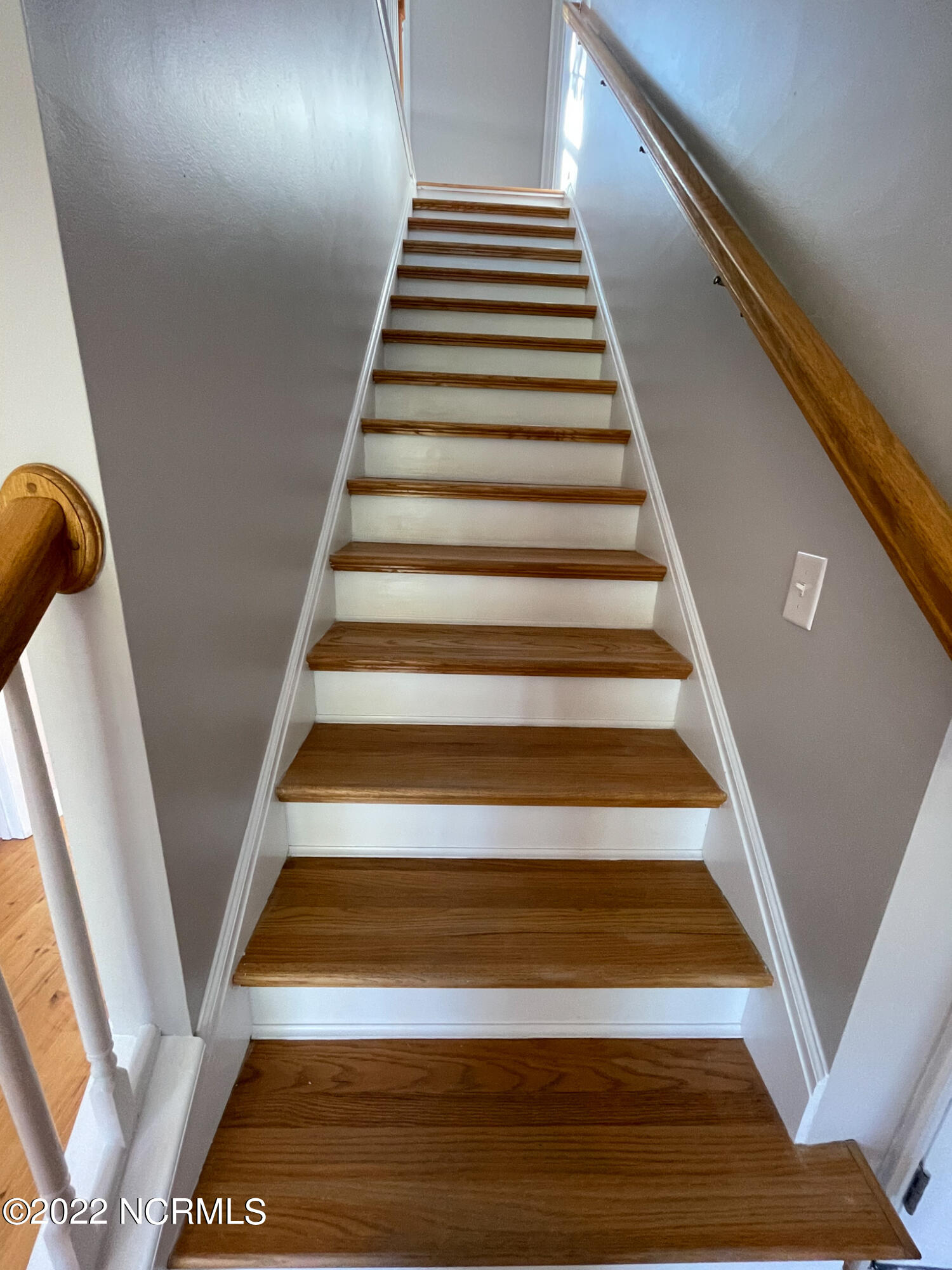 100555173 | Photo 19