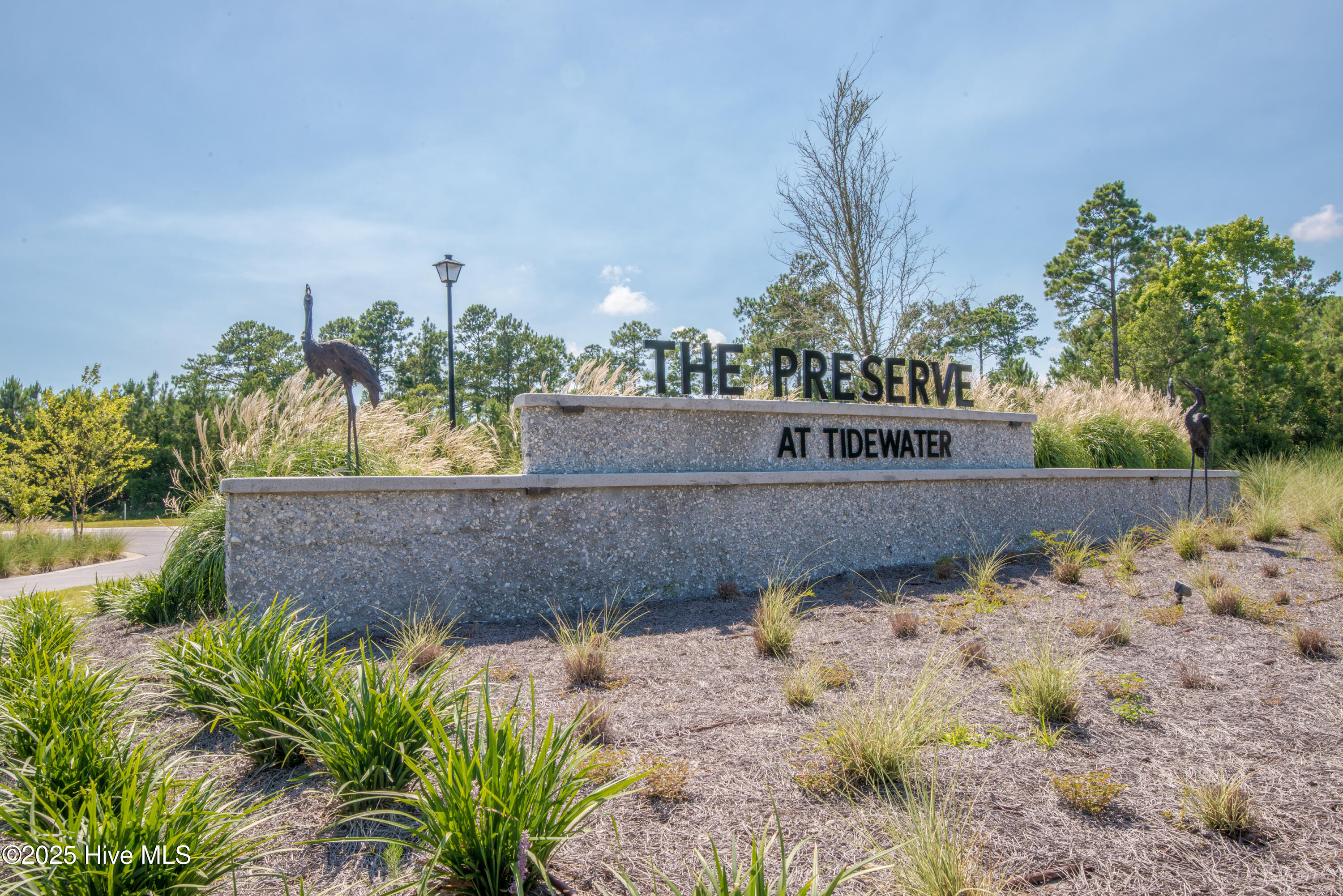 100523785 | Photo 10