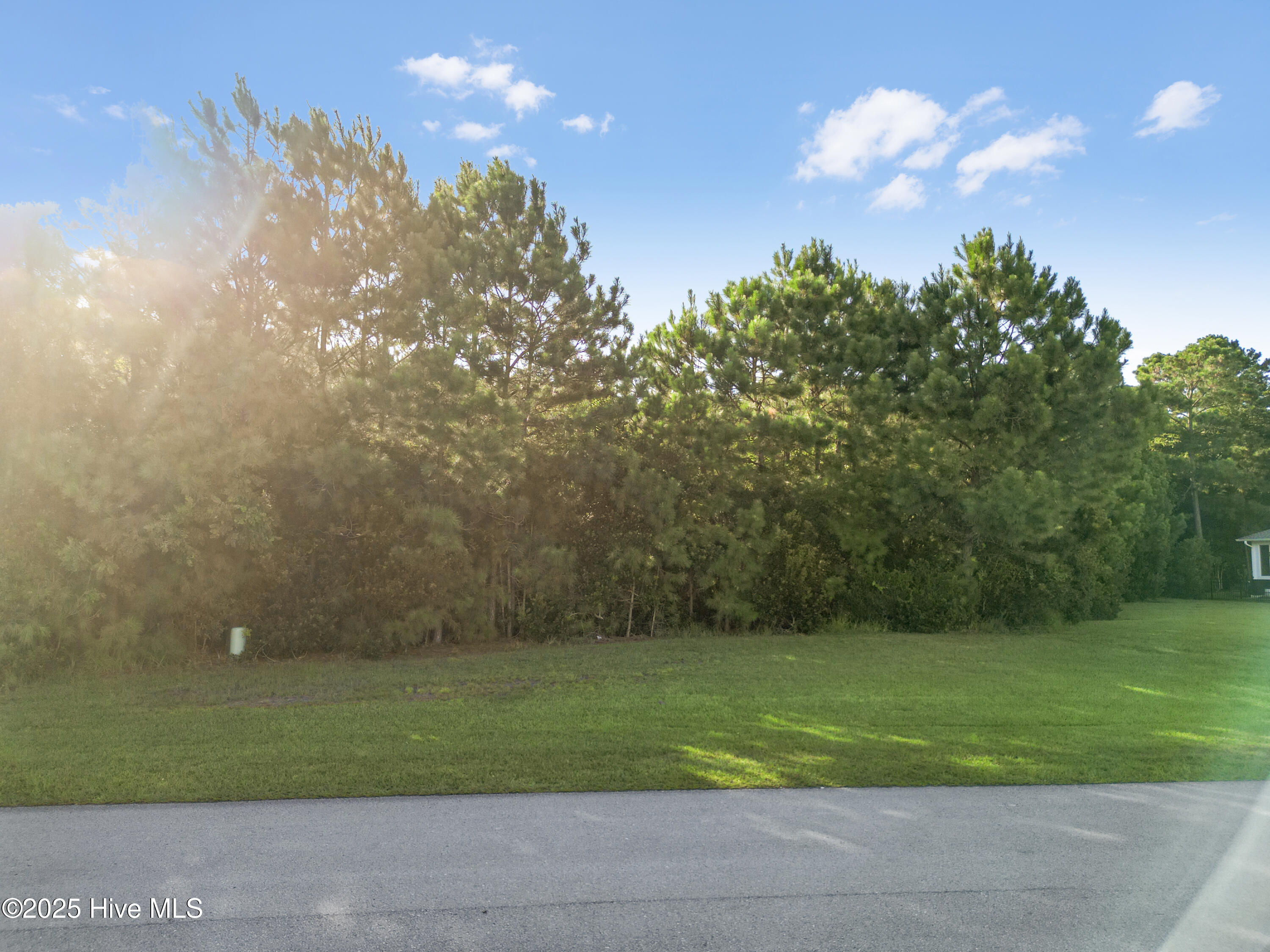 100523400 | Photo 17