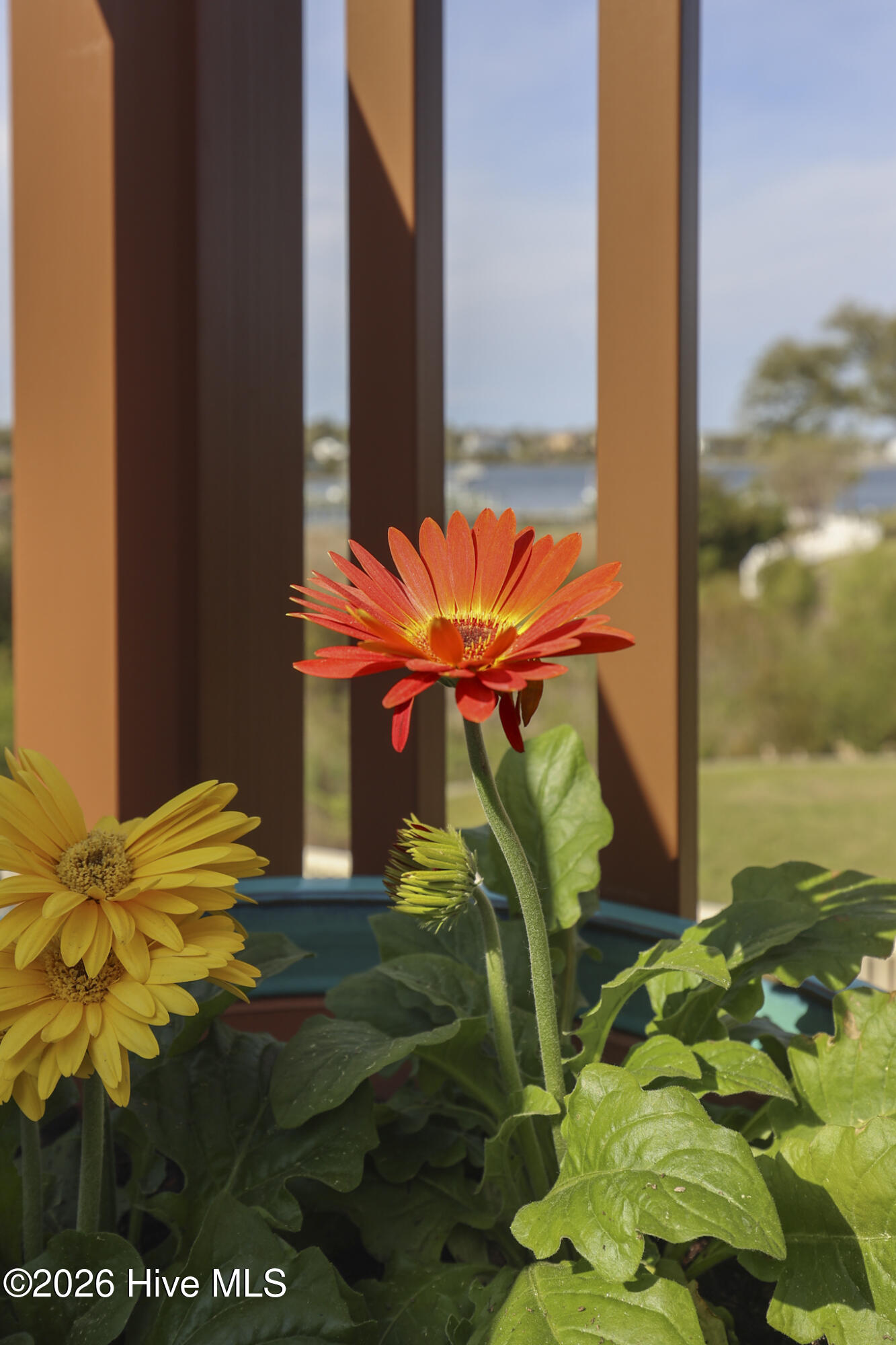 100564942 | Photo 71