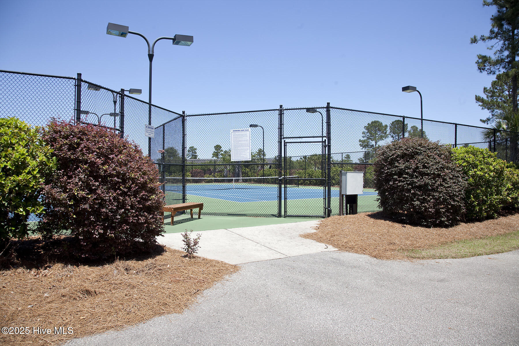 100537210 | Photo 40