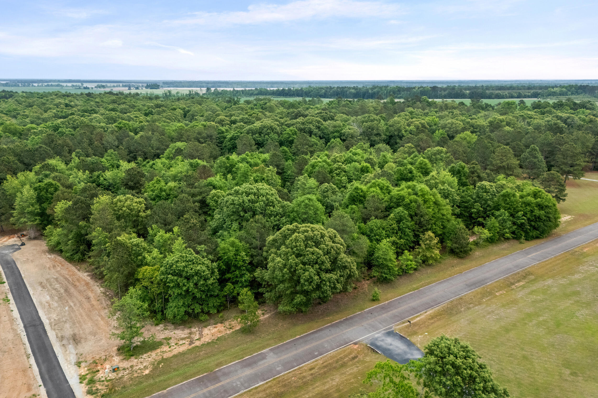 Homes for sale in Stapleton, GA | 0 Sylvan Grove Rd, Stapleton, GA 30823 | MLS# 98256827