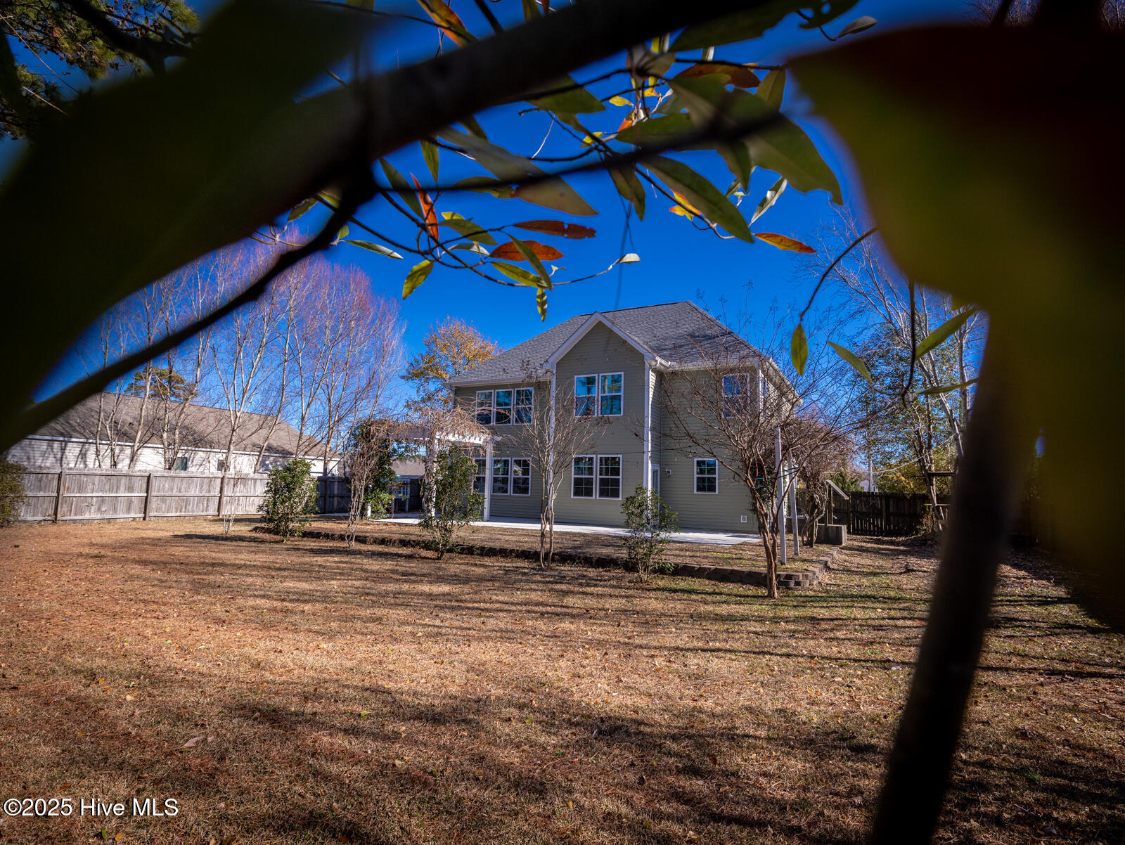 100546251 | Photo 51