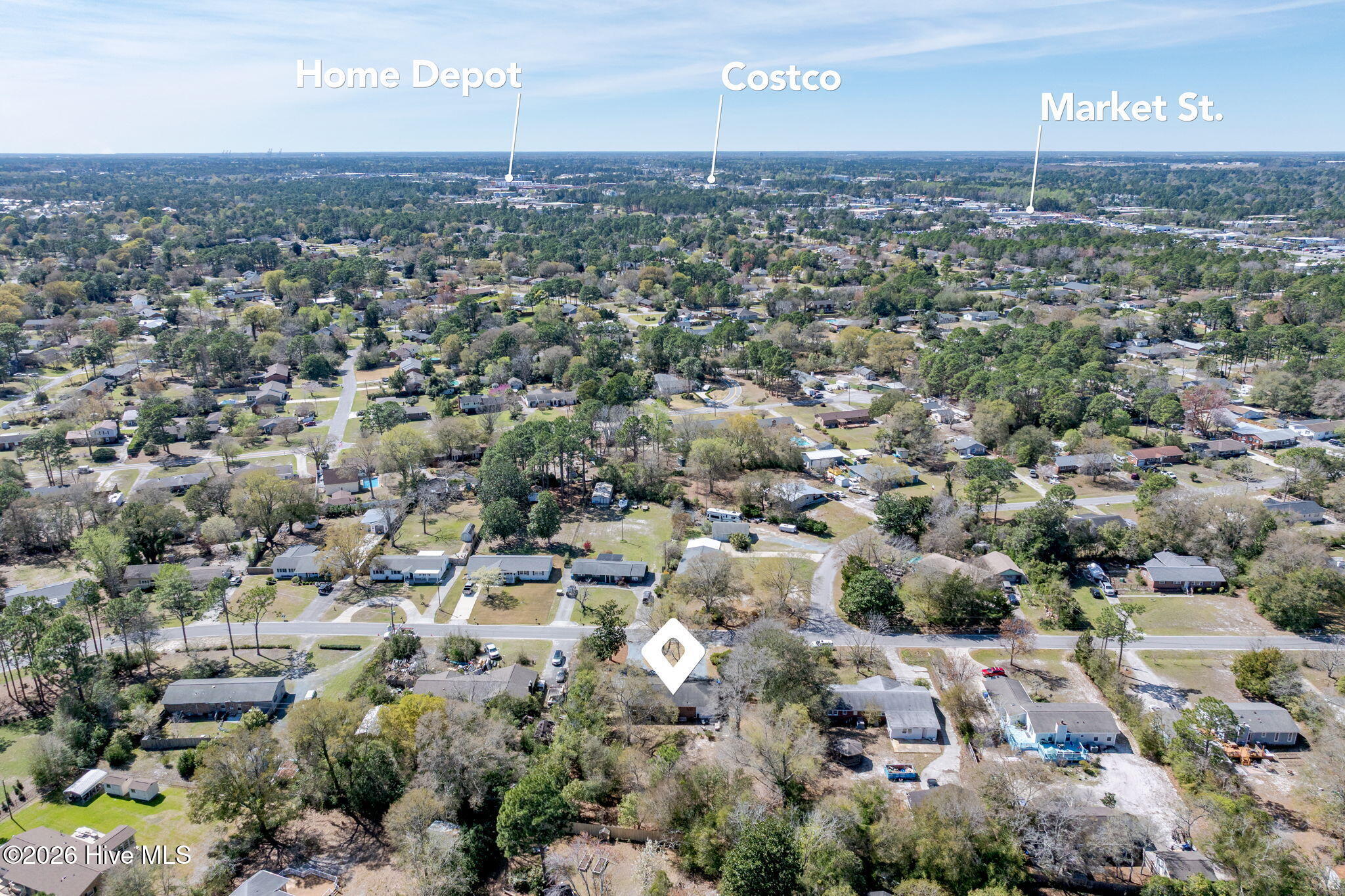 100561167 | Photo 47