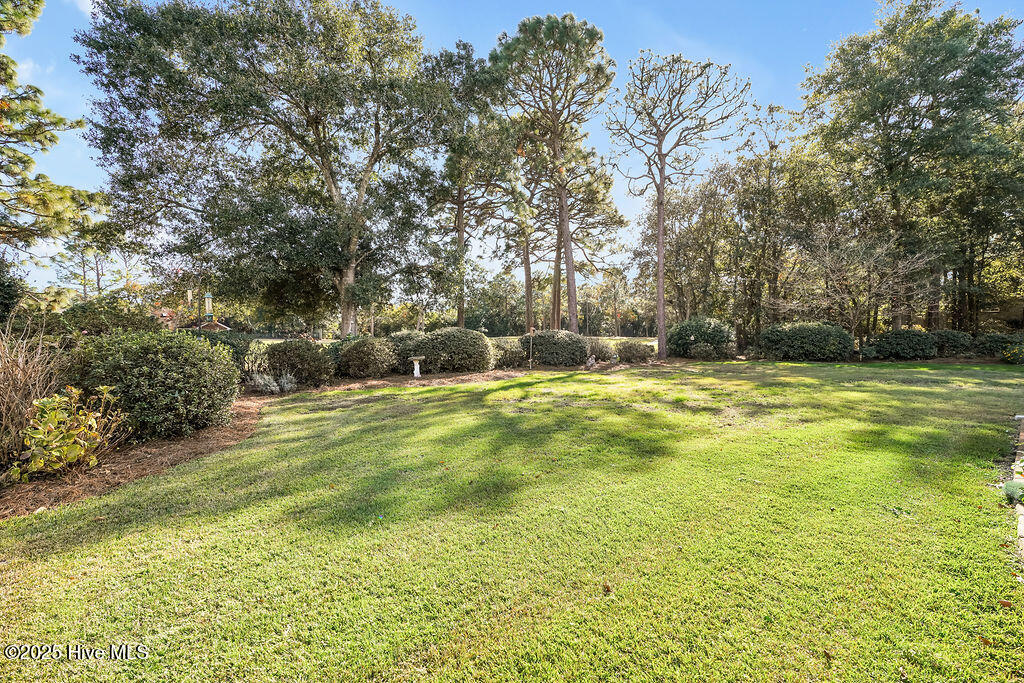 100541437 | Photo 41