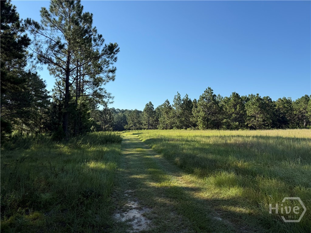 4th image of 0 Sunbury Rd #Tract 4, Claxton, GA 30417 | MLS# SA339073