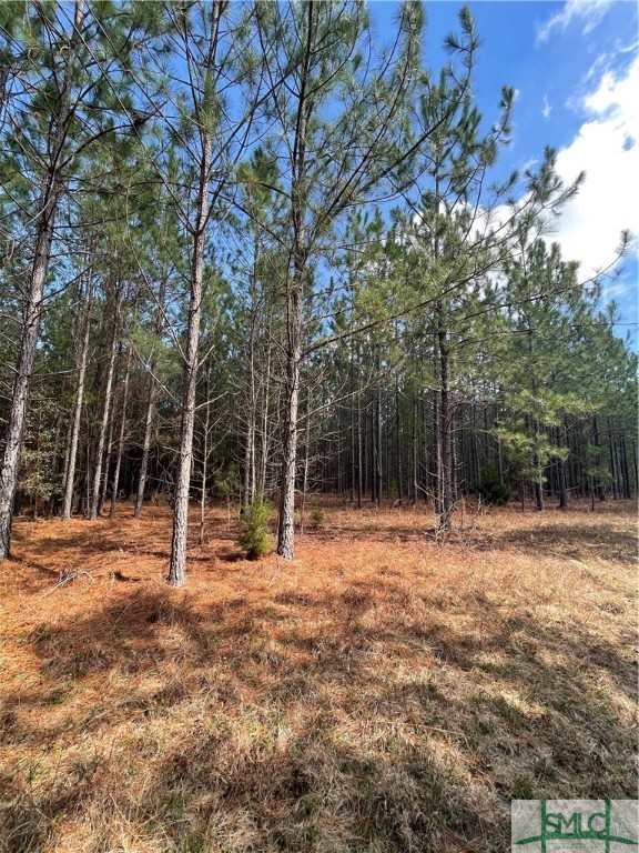 0 FISH Road, Newington, GA, 30446