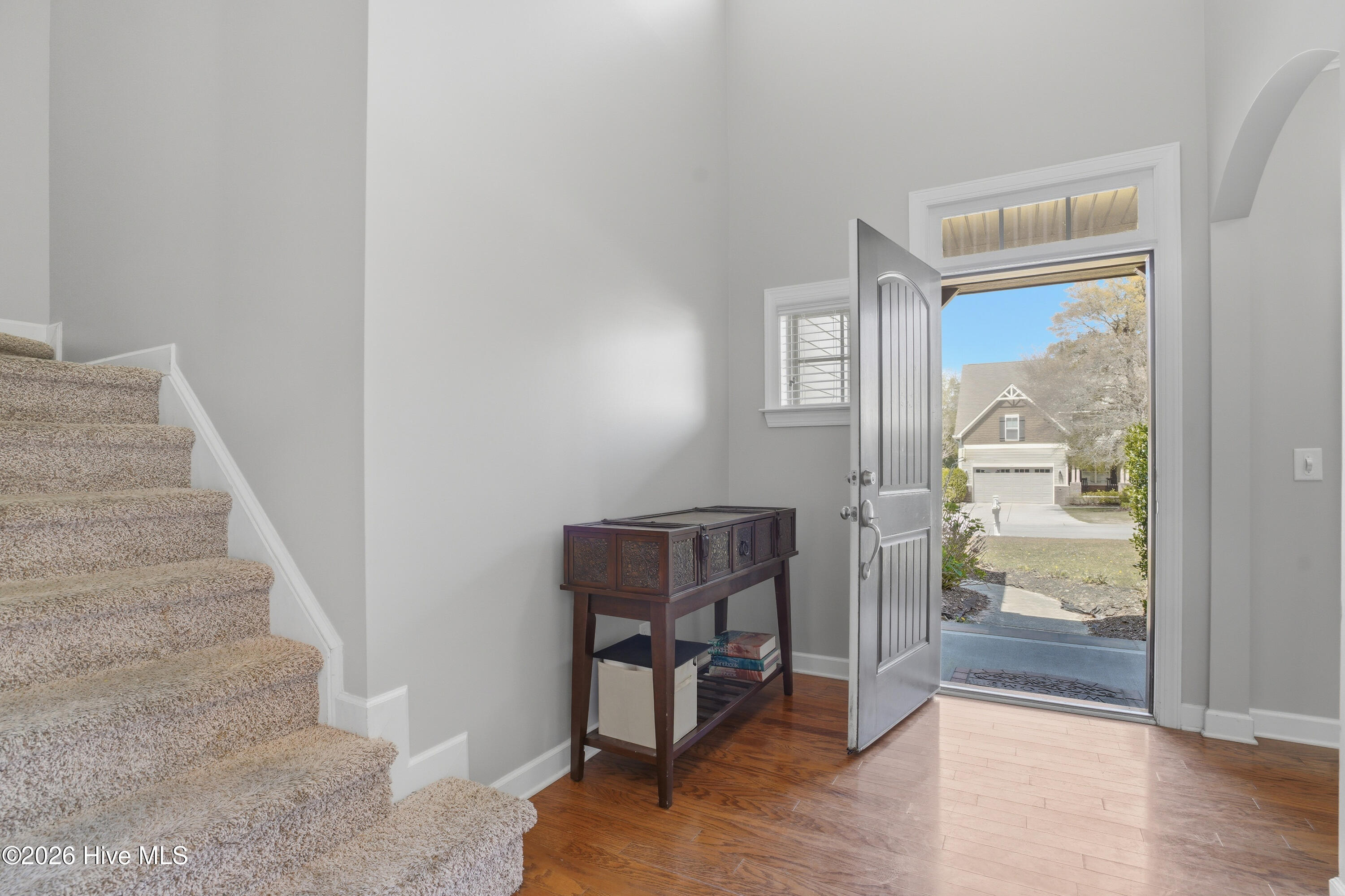 100564087 | Photo 12