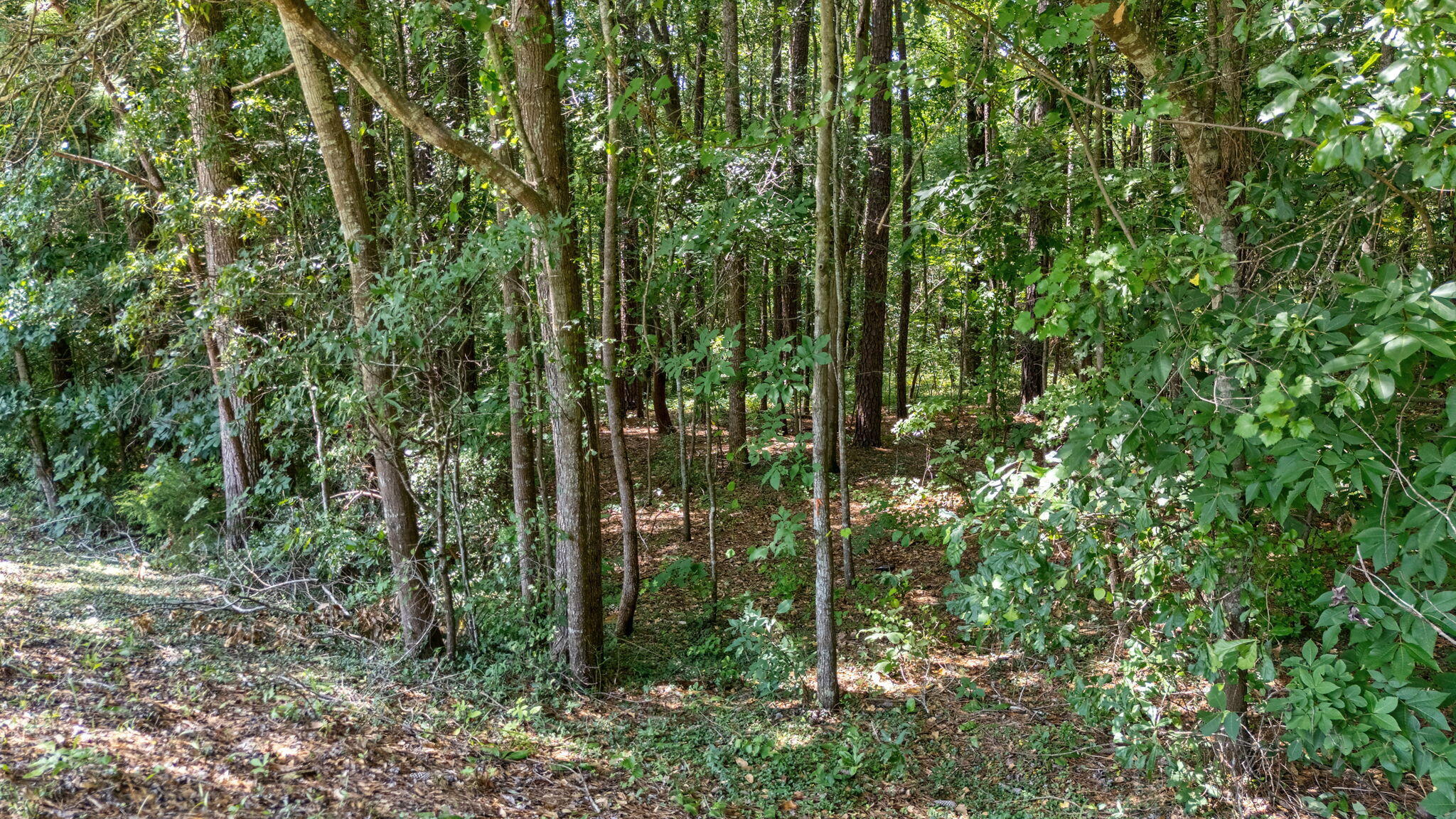 LOT 7 WOODSPRING Court, North Augusta, SC, 29860