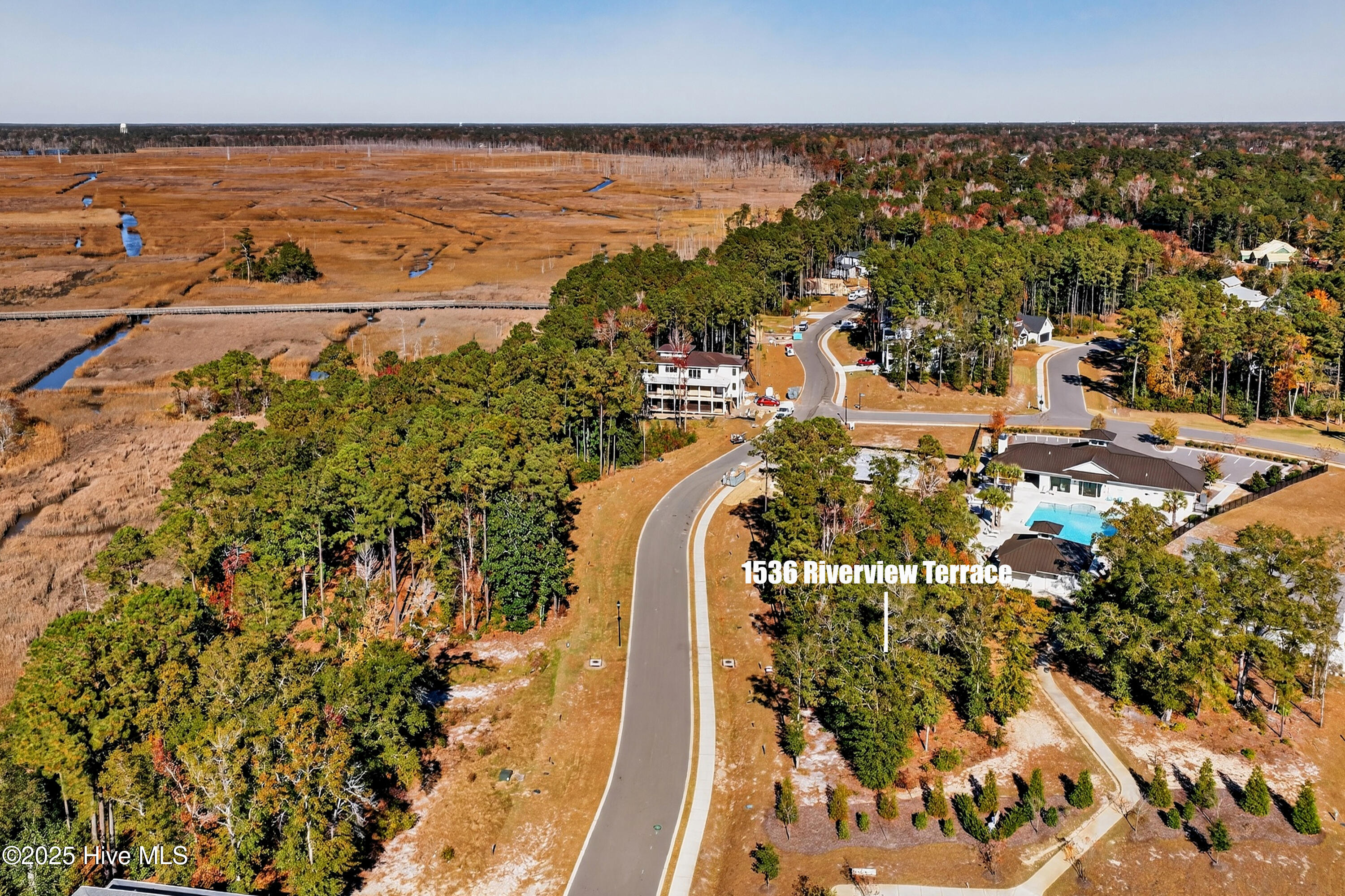 100541672 | Photo 17