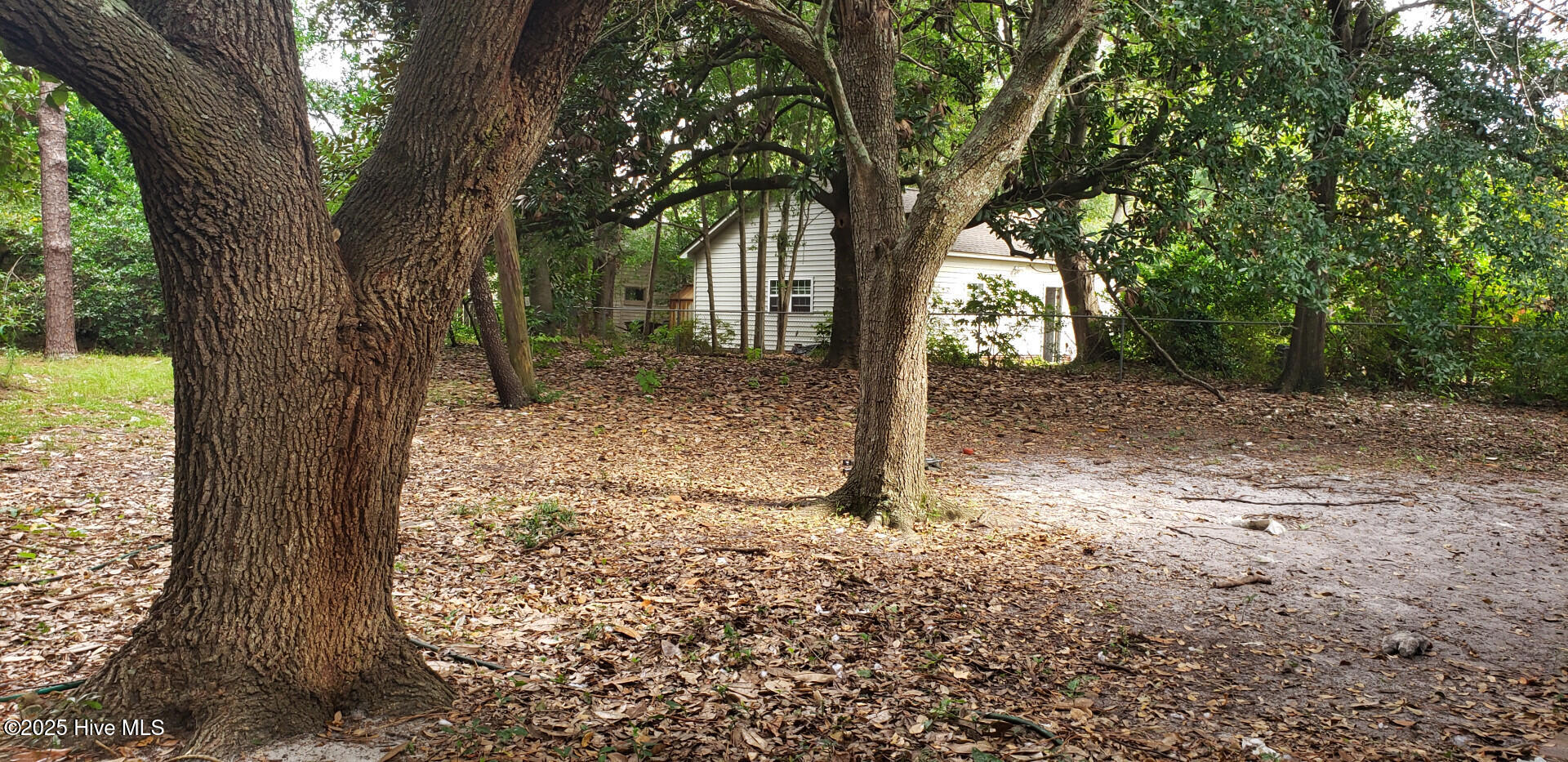 915 Midland Drive, Wilmington, NC 28412 – photo 2: 915MidlandDr_59830_2