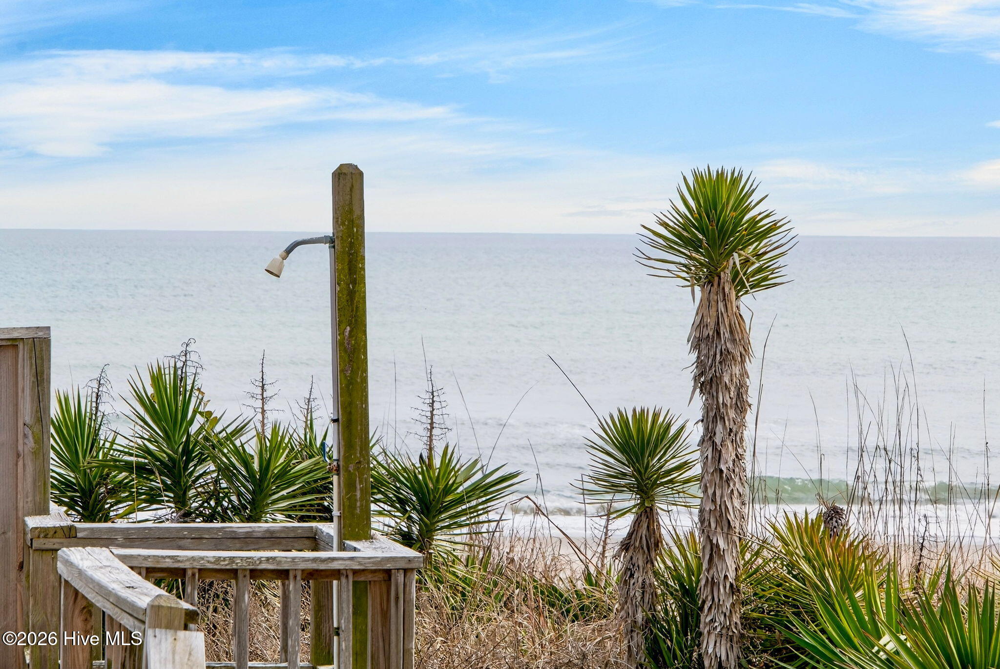 100557808 | Photo 34