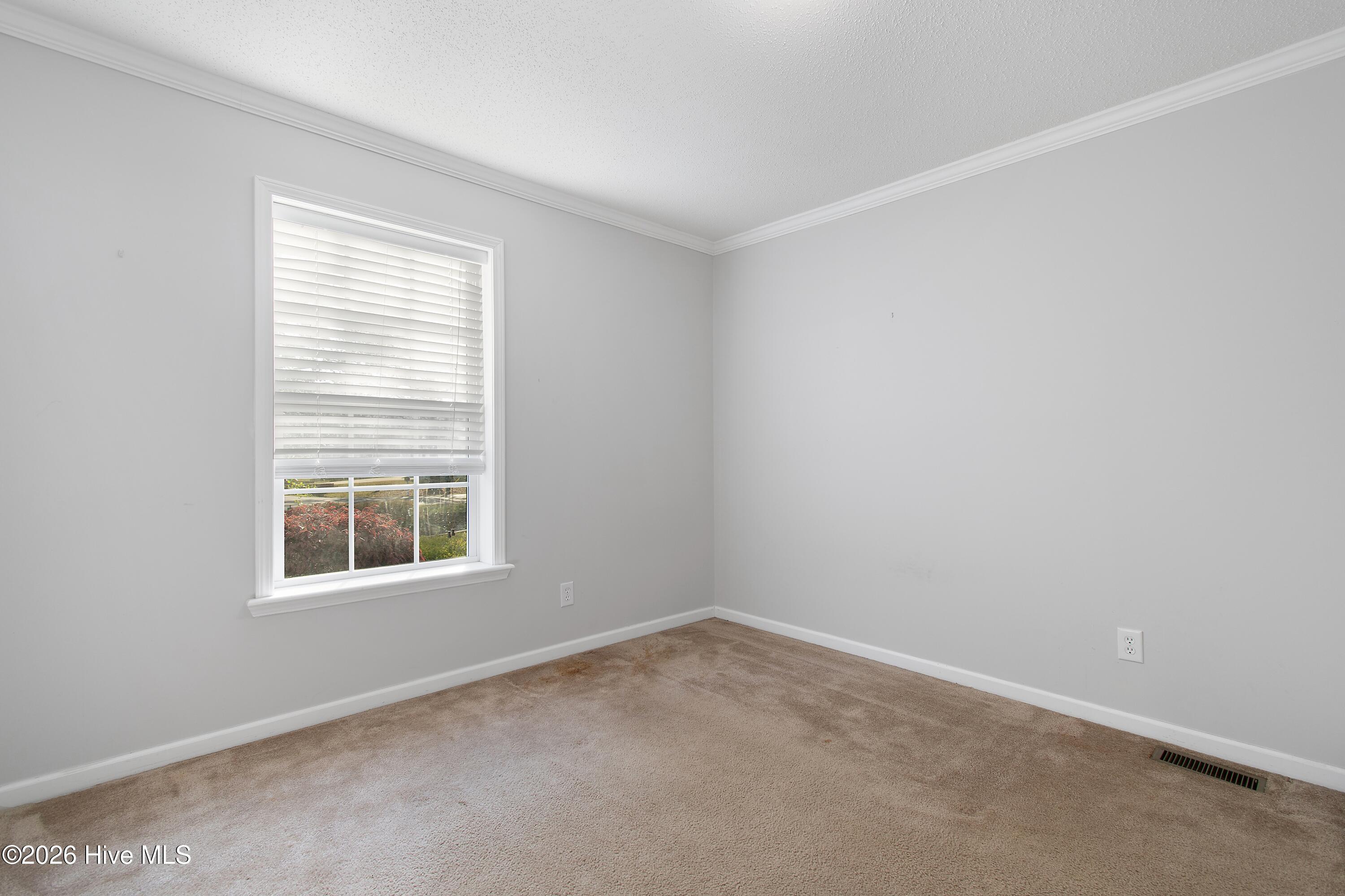 100568231 | Photo 45