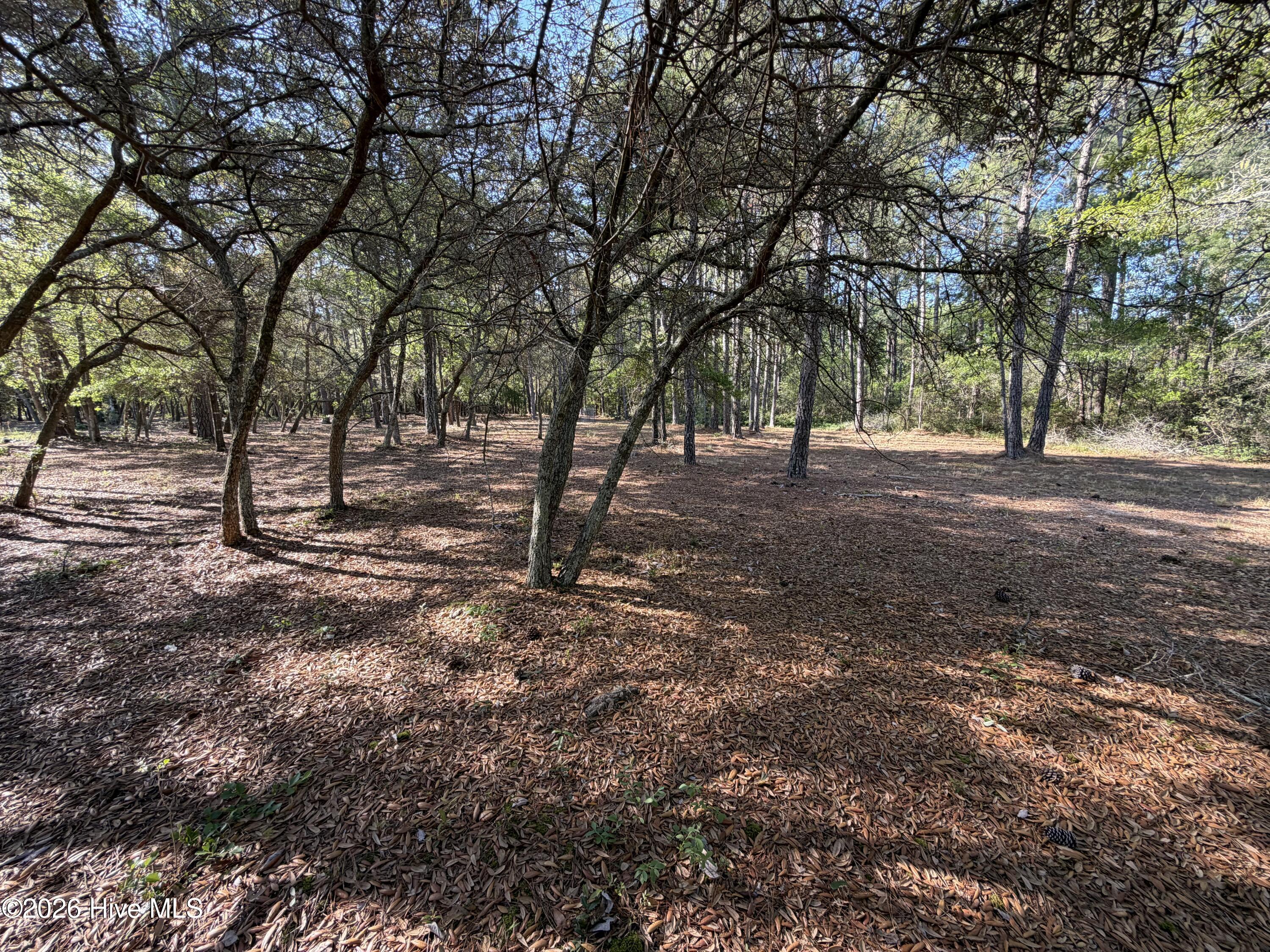 100569974 | Photo 16