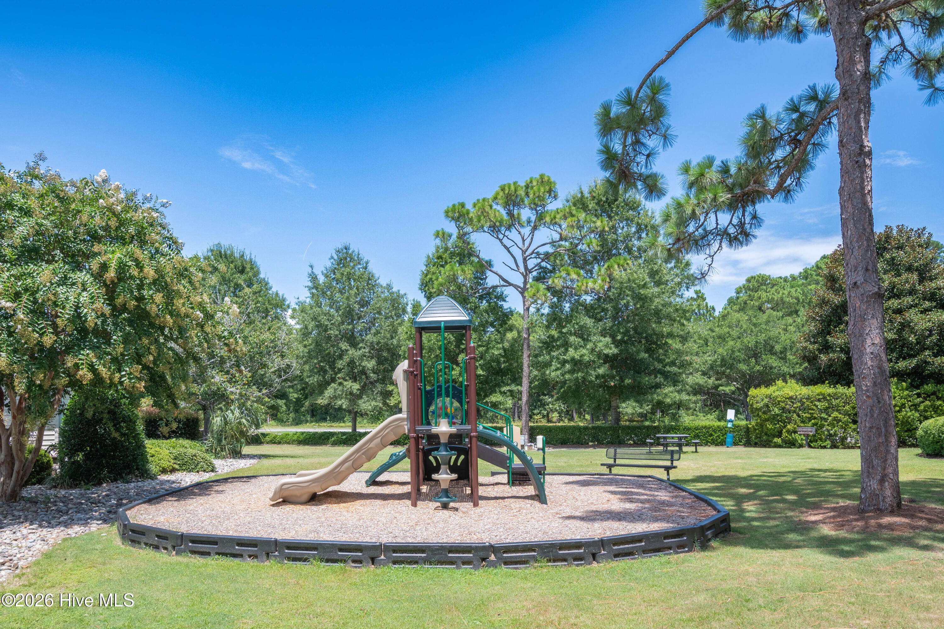 100566741 | Photo 15