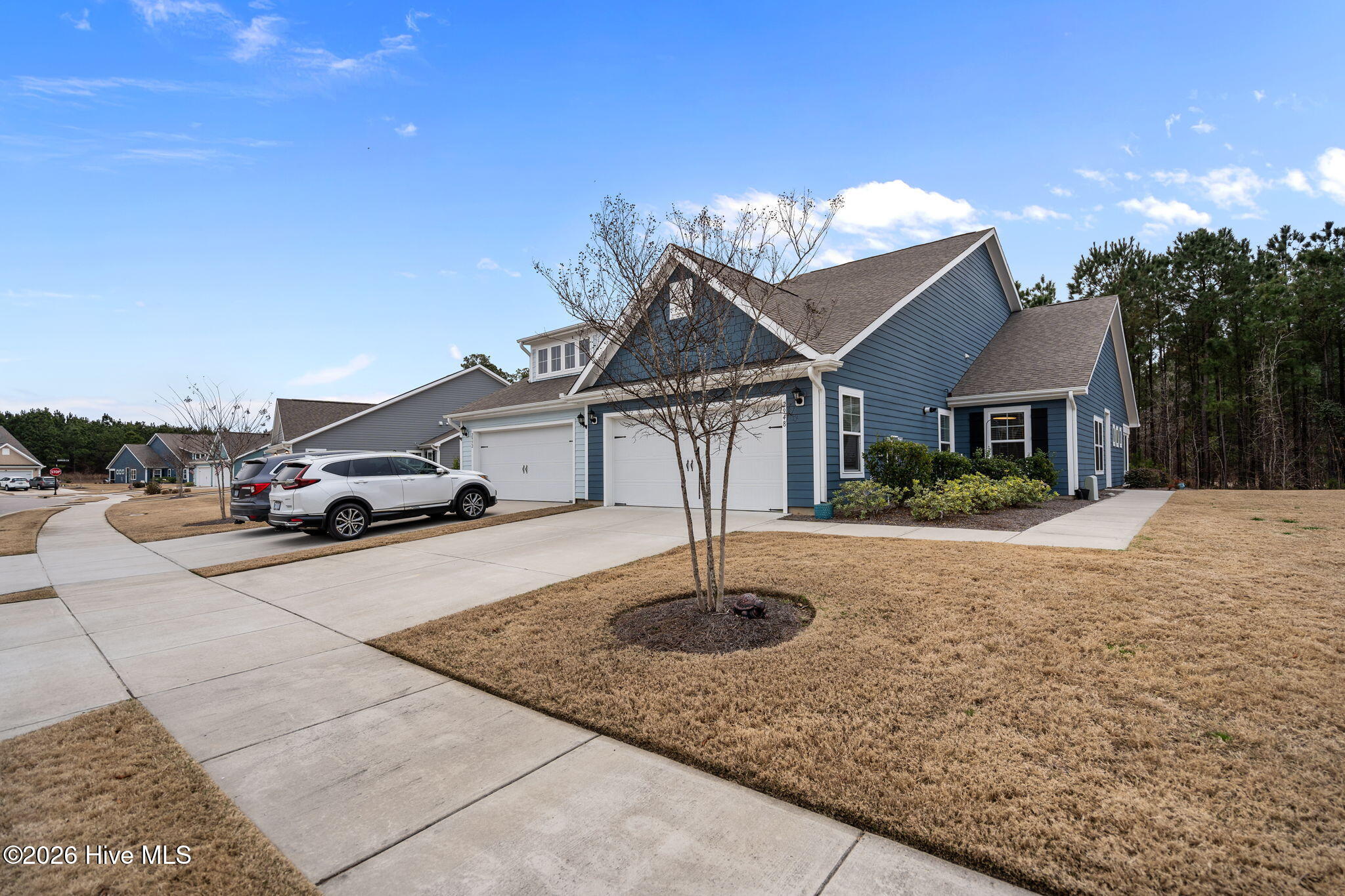 100558026 | Photo 17