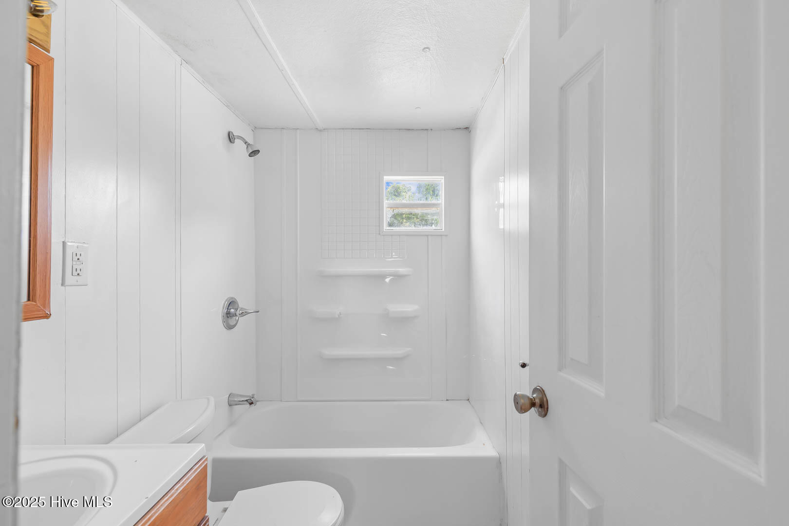 100557844 | Photo 16