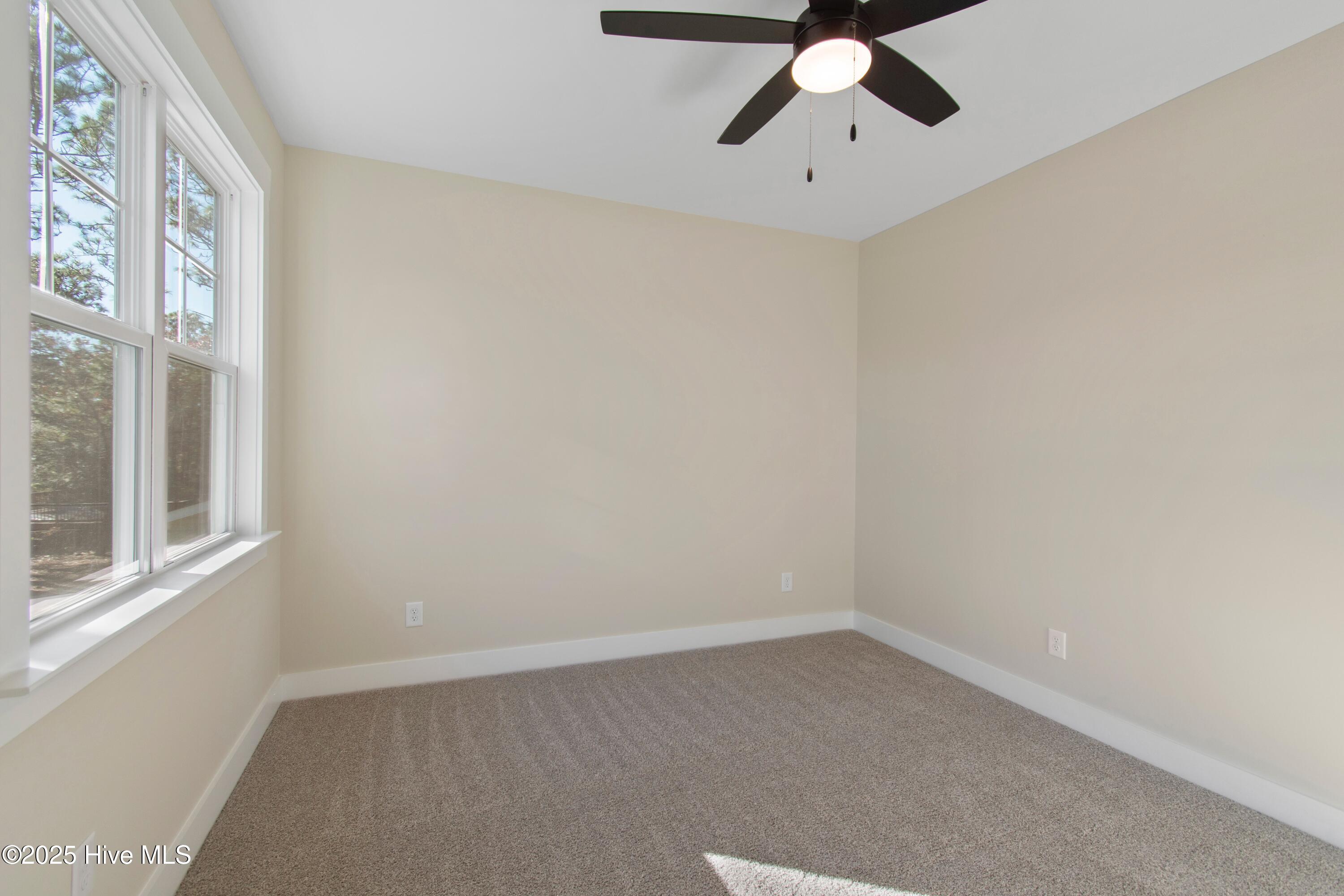 100520444 | Photo 48