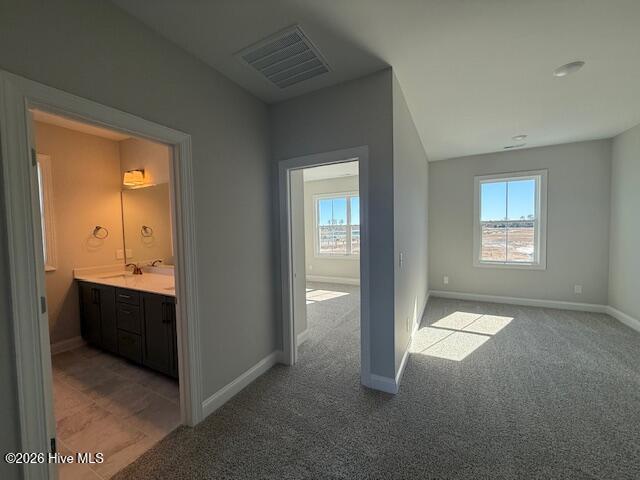 100559228 | Photo 26