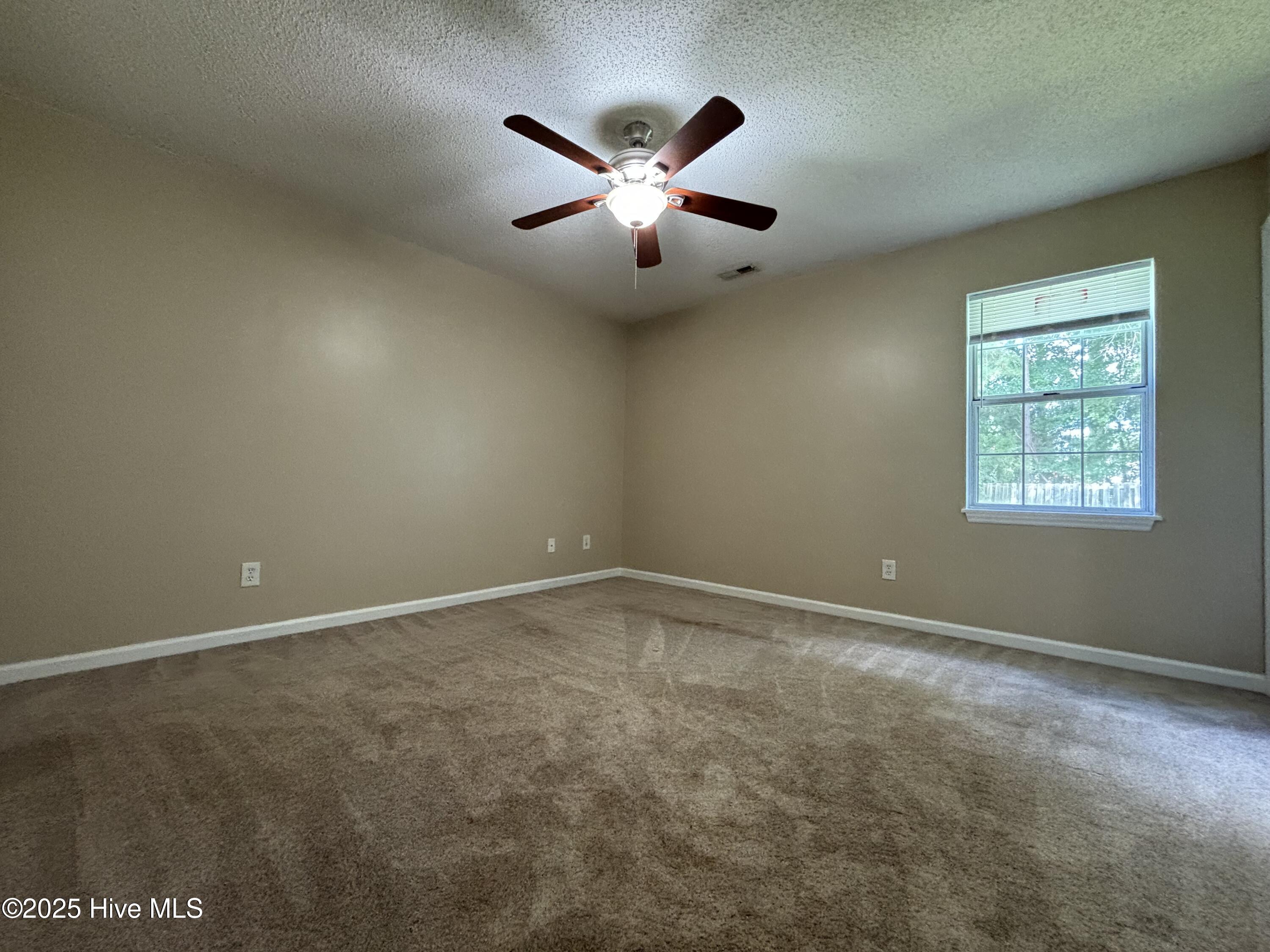 100544457 | Photo 11