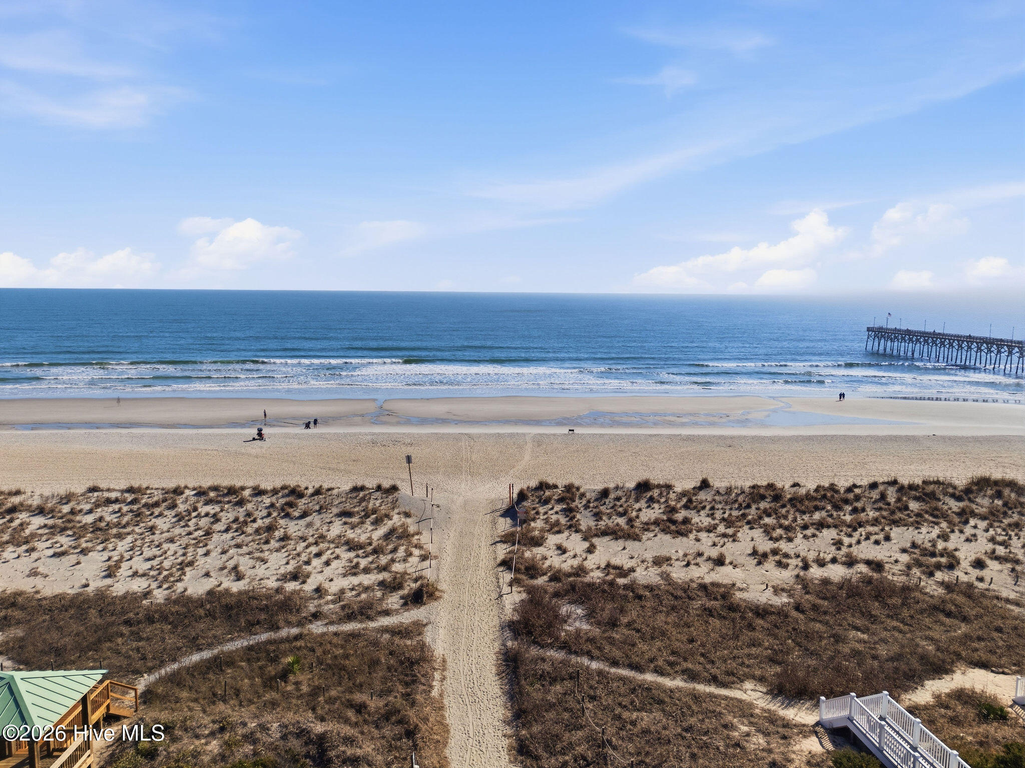 100559118 | Photo 113