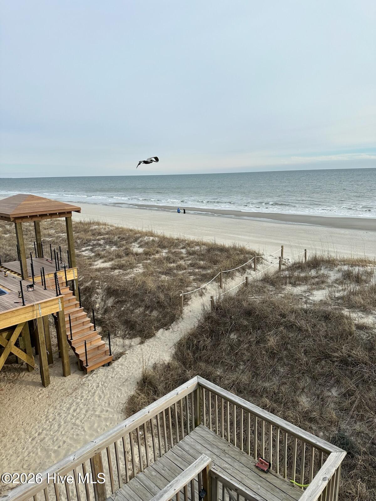 100556591 | Photo 52