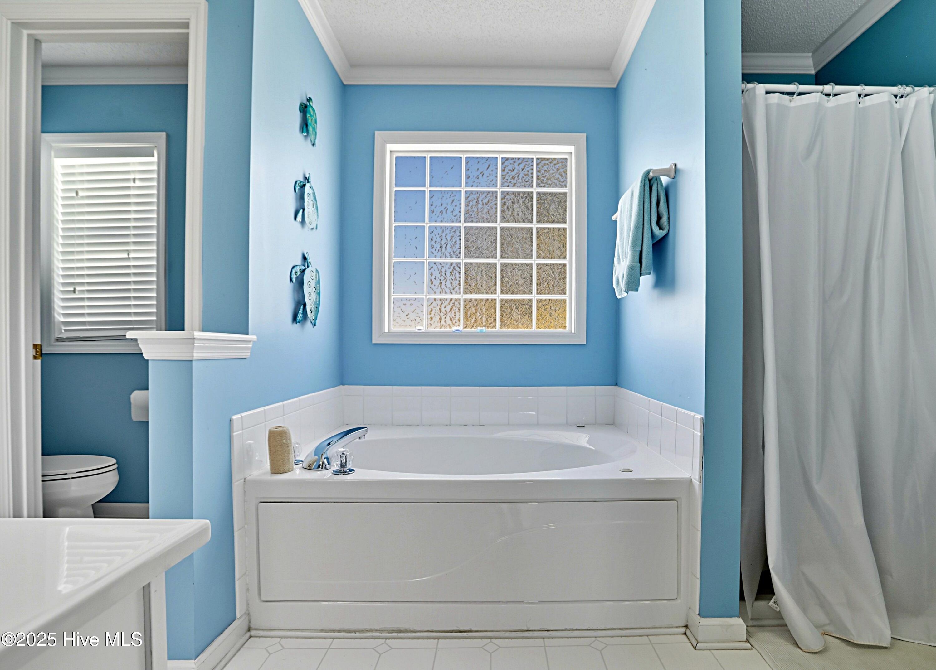 100532485 | Photo 24