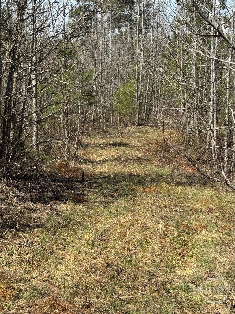 738 Old Mineral Springs Road, Elberton, GA, 30635